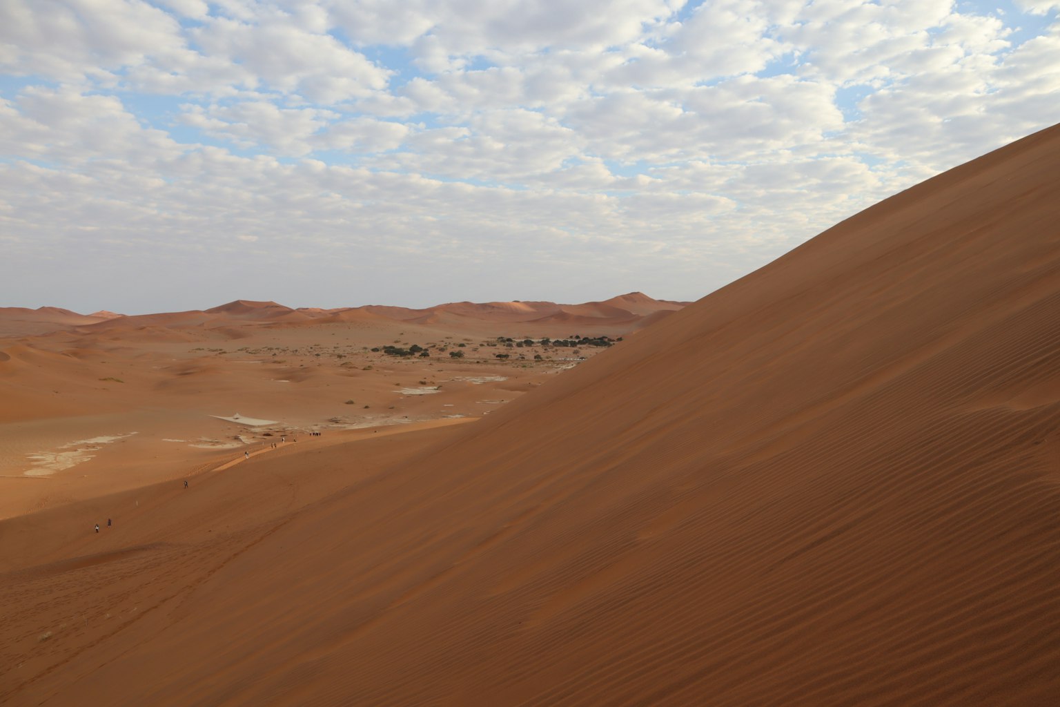 Landscape of brown sand dunes with clouds in the blue sky featuring a small oasis