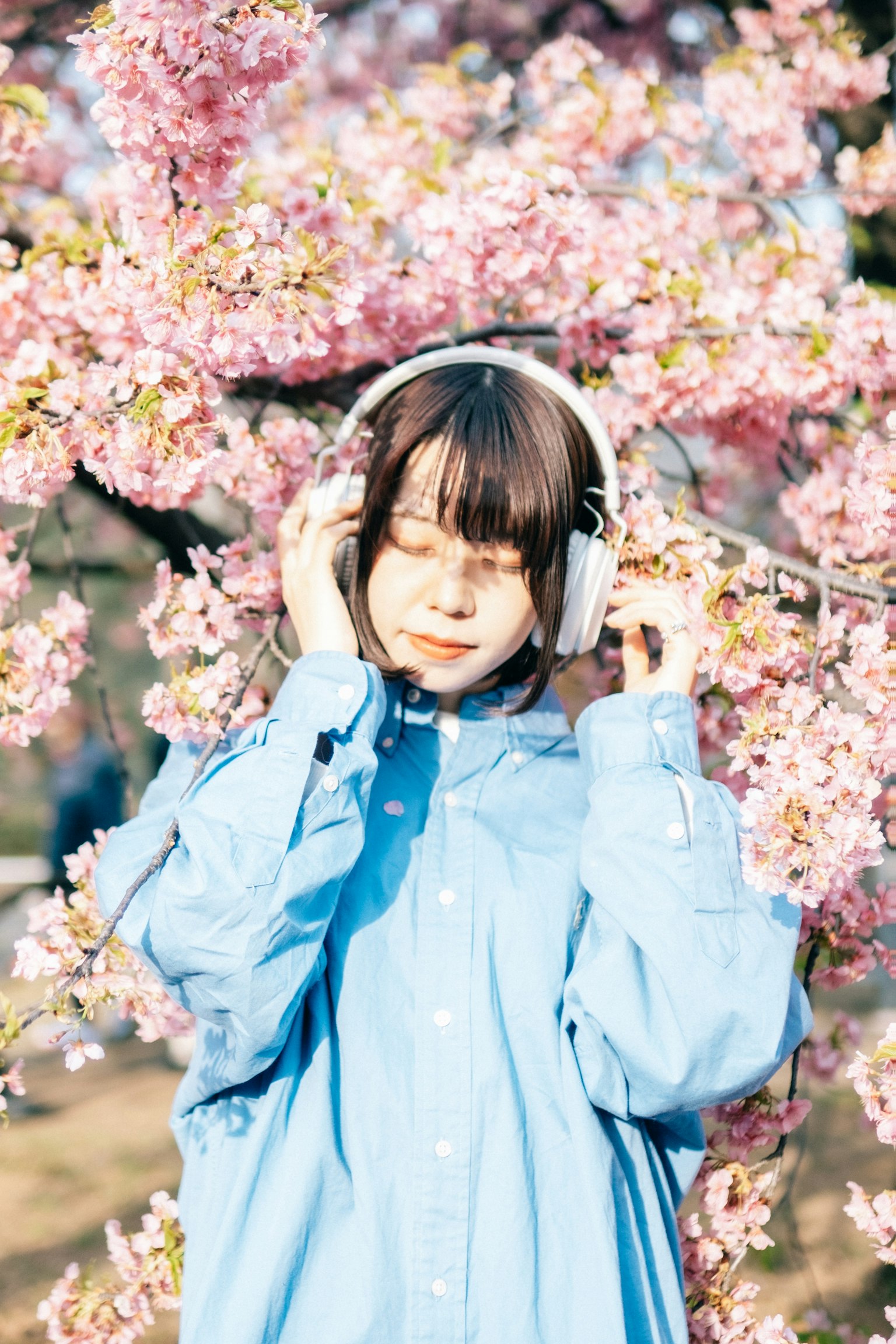 Ragazza con cuffie davanti a ciliegi in fiore