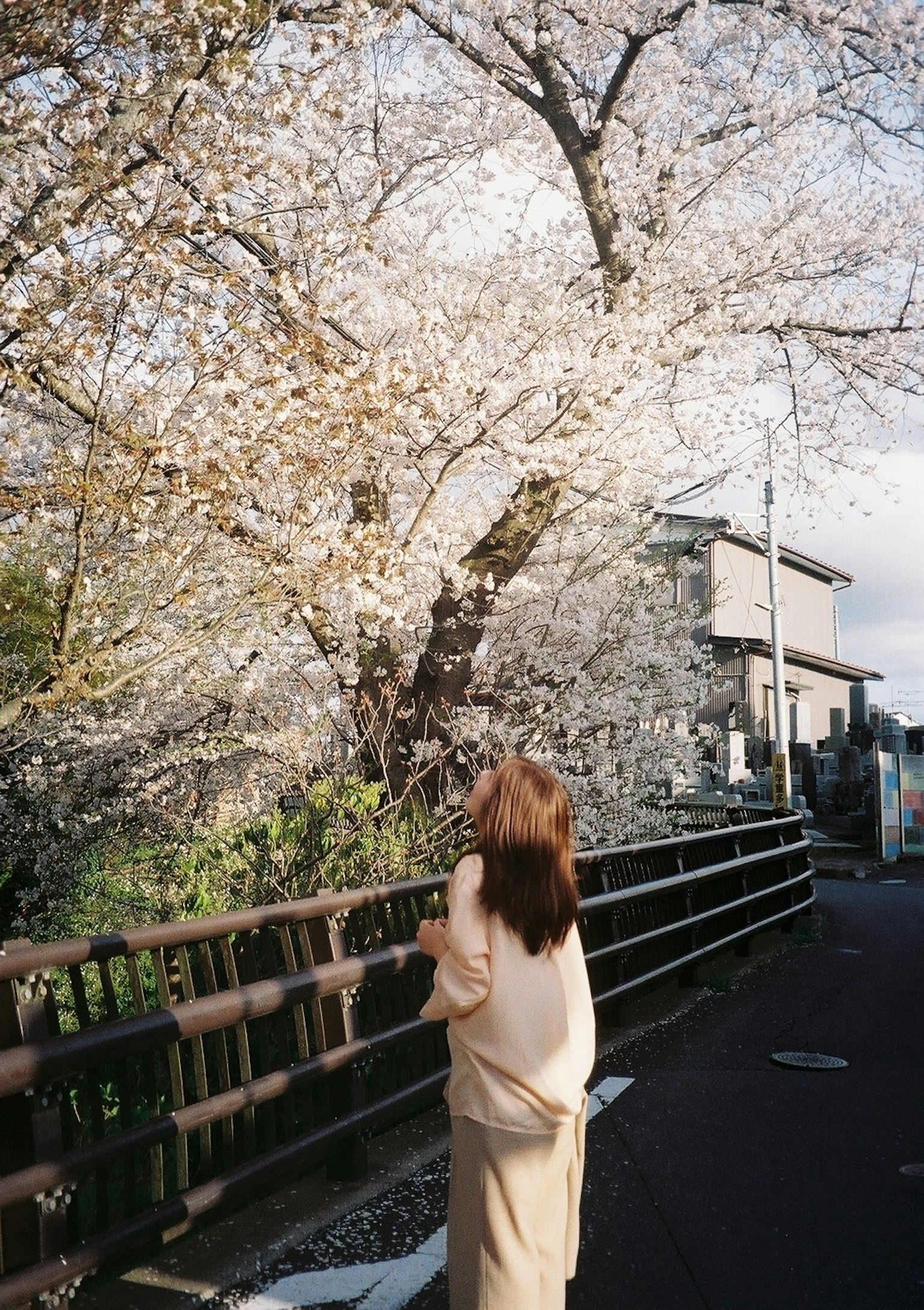 A woman standing in front of a cherry blossom tree