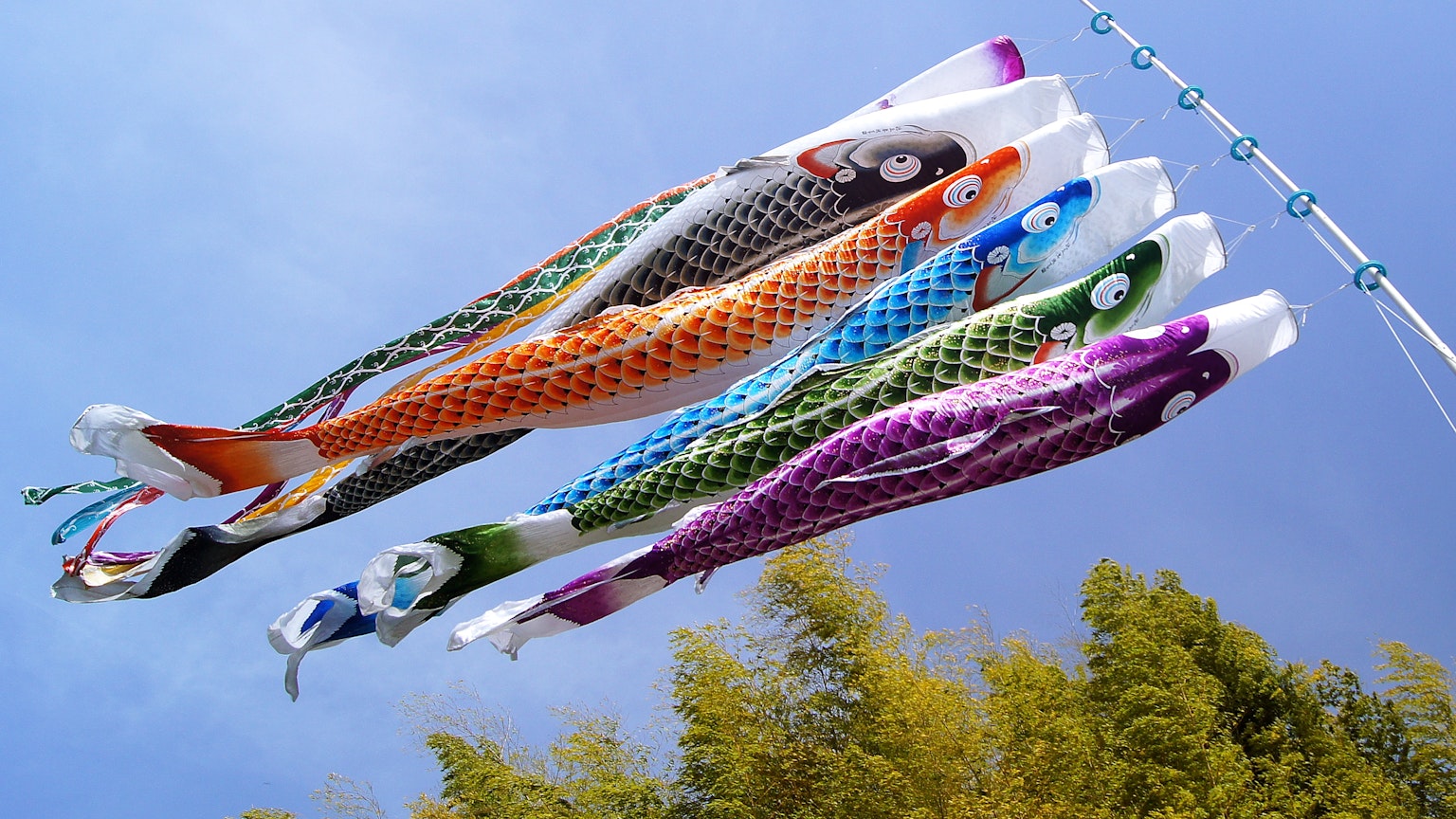 Banderas de koi coloridas nadando en el cielo