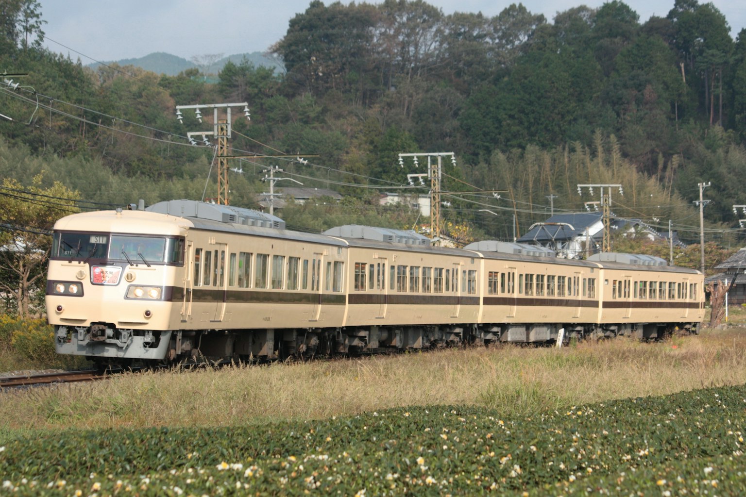 A brown train running through fields