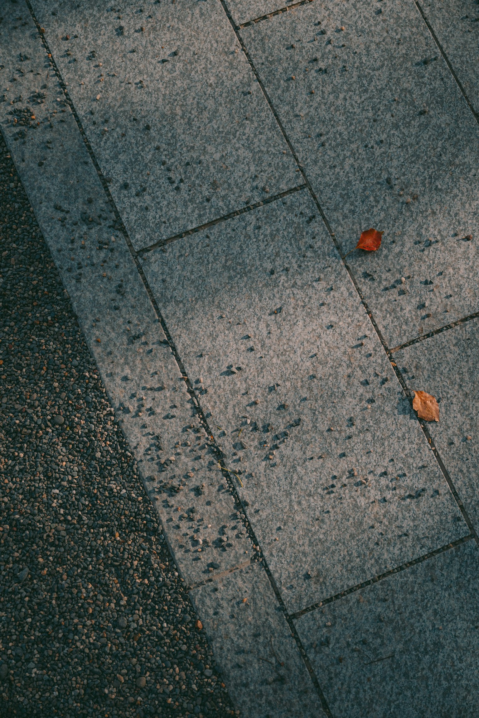 Chemin pavé avec des feuilles d'automne éparpillées
