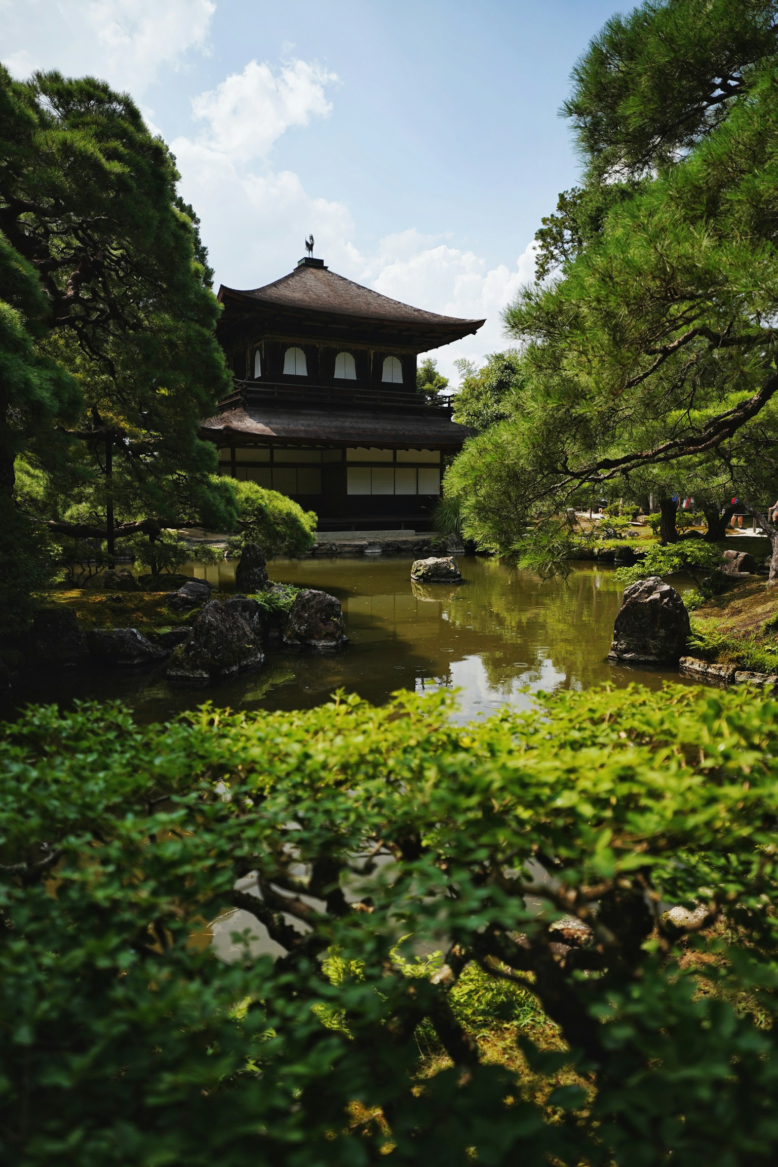 美しい日本庭園の中にある金閣寺の風景 緑豊かな木々と池が特徴