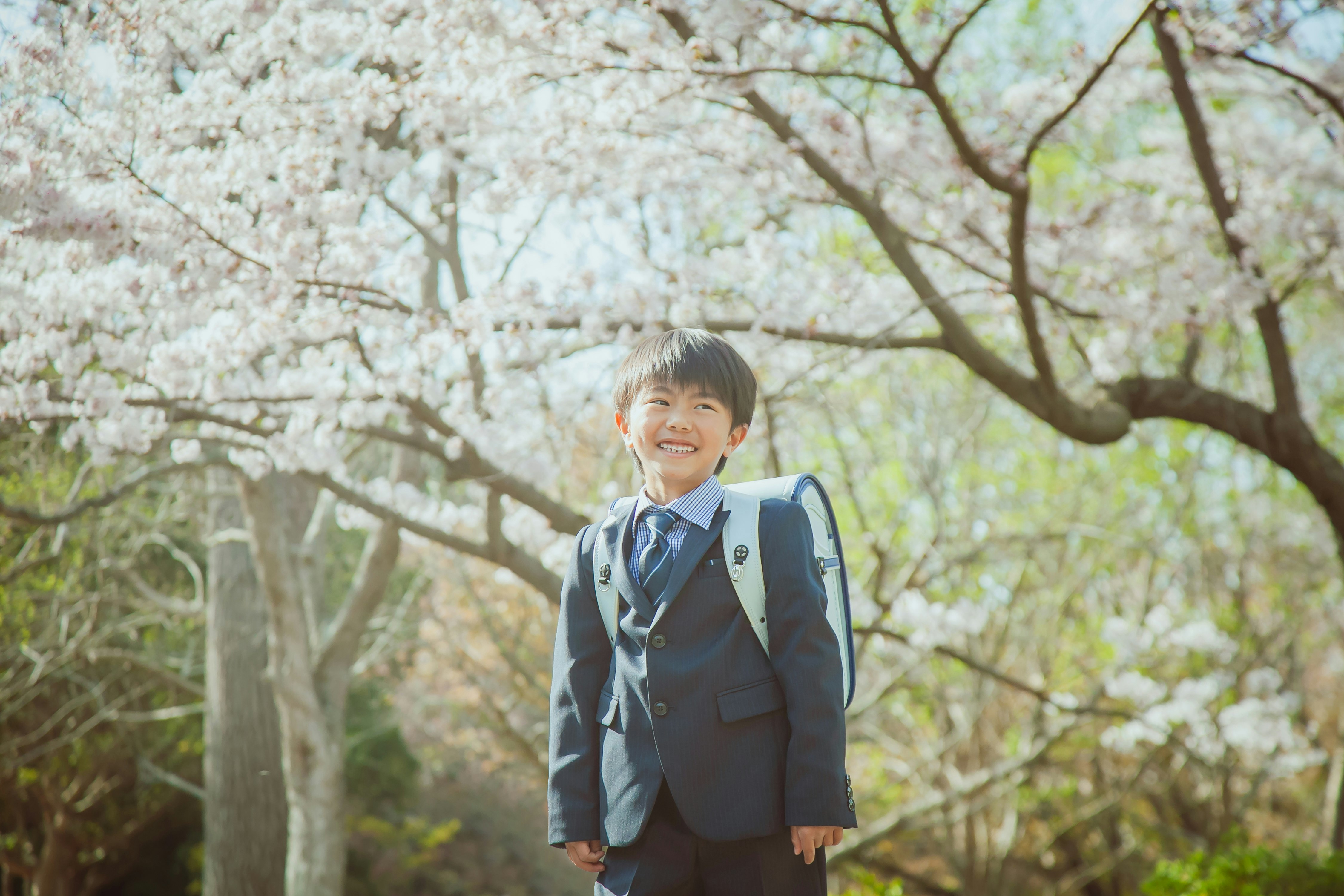 桜並木の下でランドセルを背負う新1年生