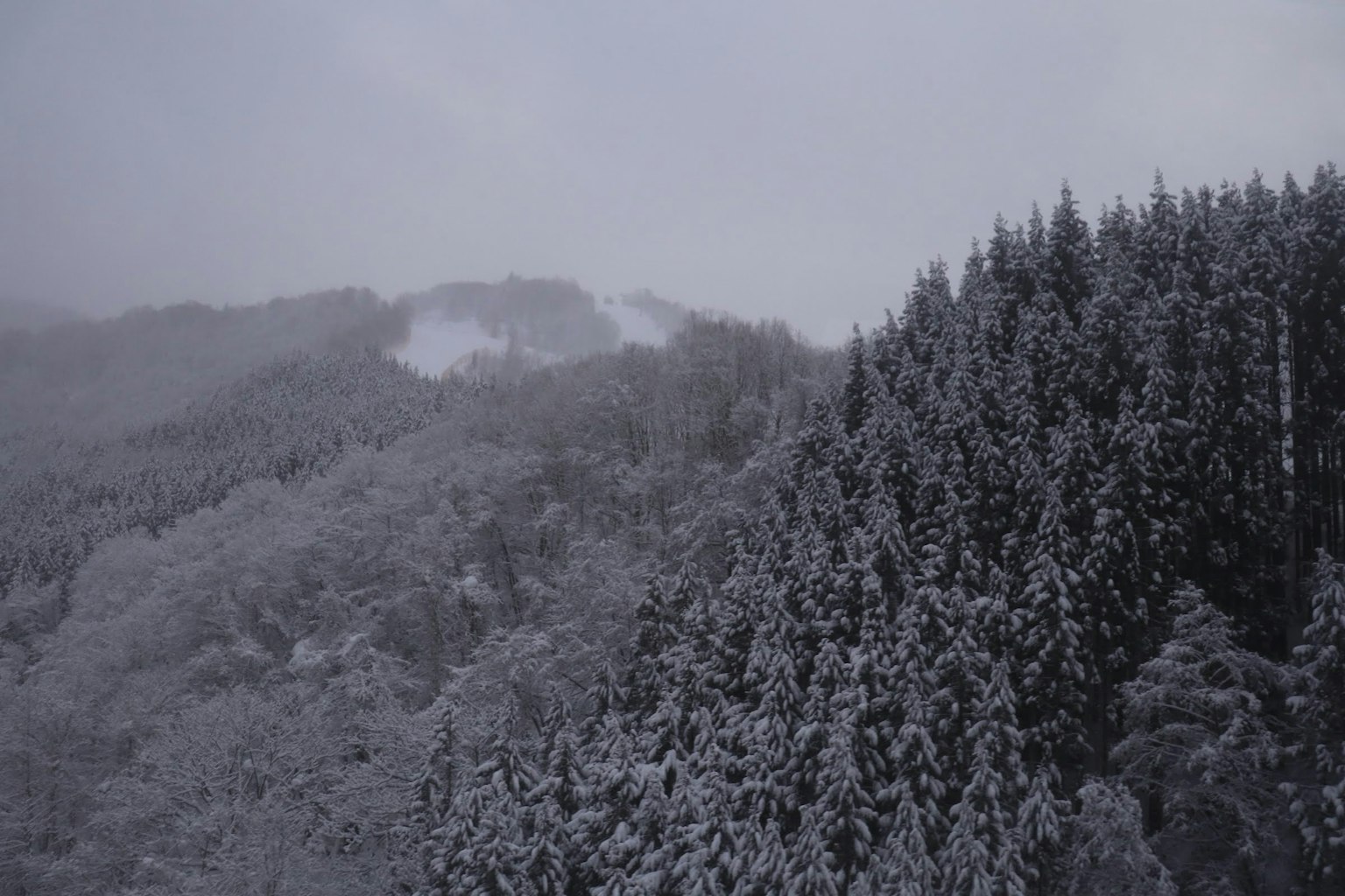 雪覆蓋的森林和山脈景觀