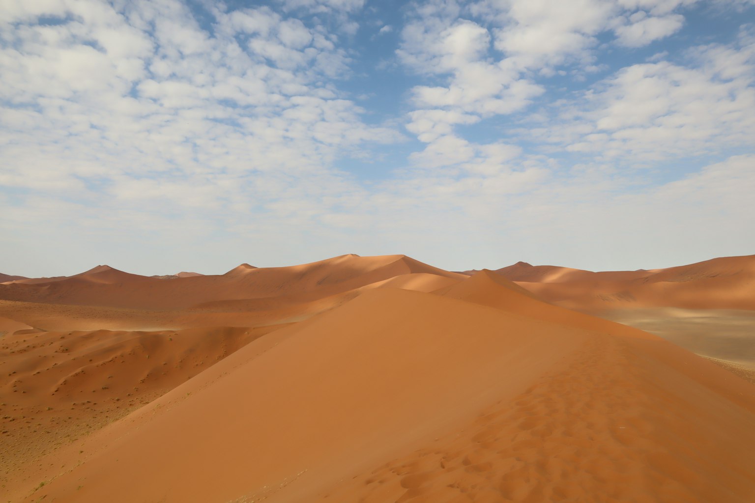 Dune di sabbia arancione sotto un cielo blu