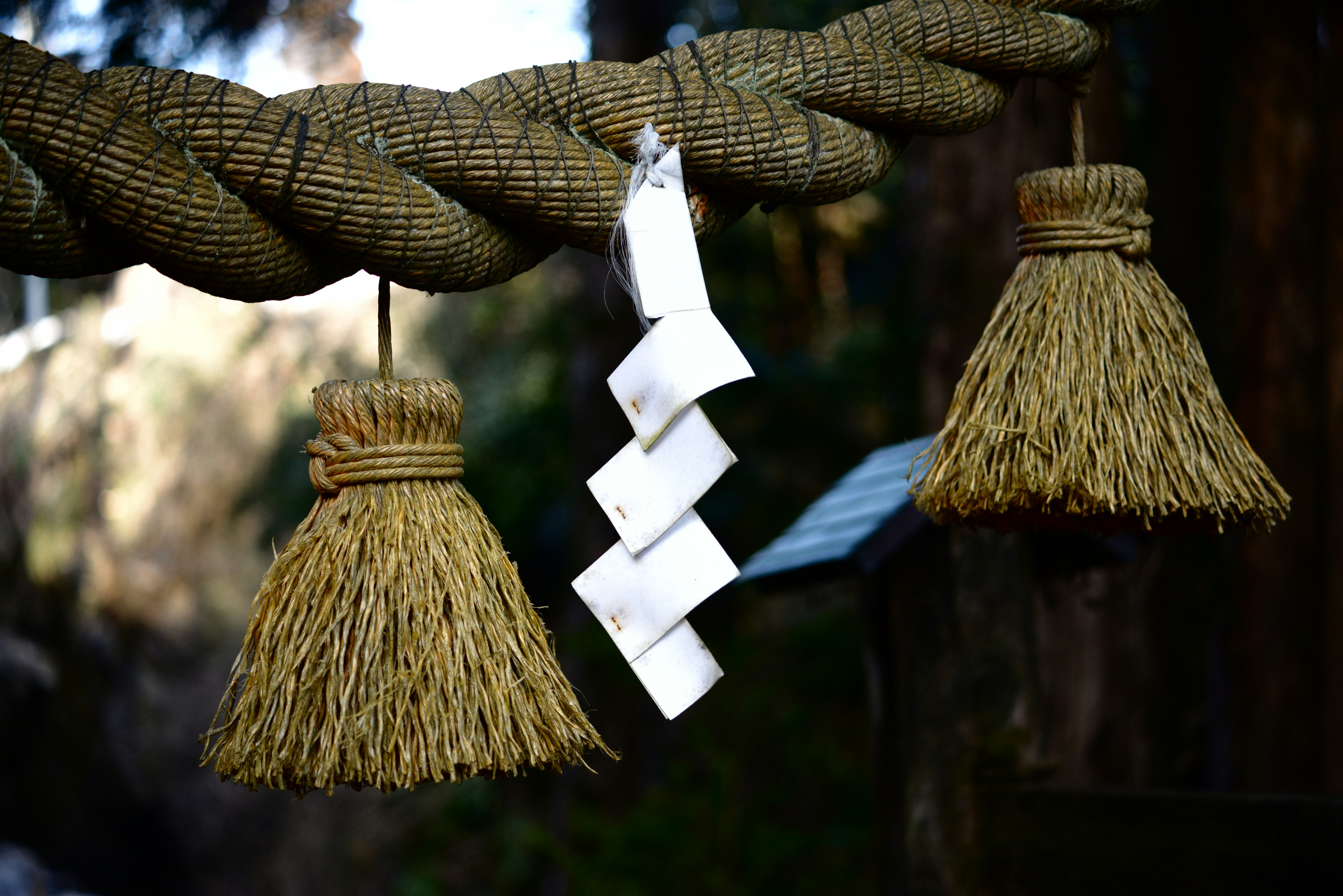 藁の飾りと紙垂が揺れる神社の境内