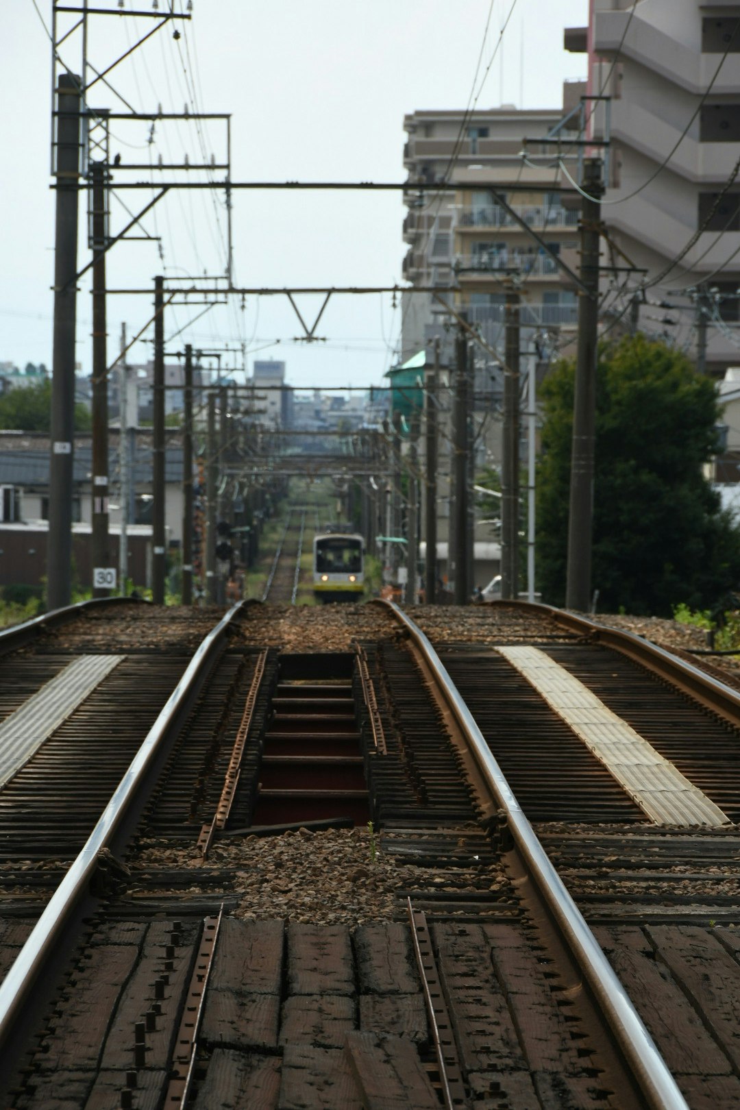 阪堺電車的軌道延伸到街道遠處