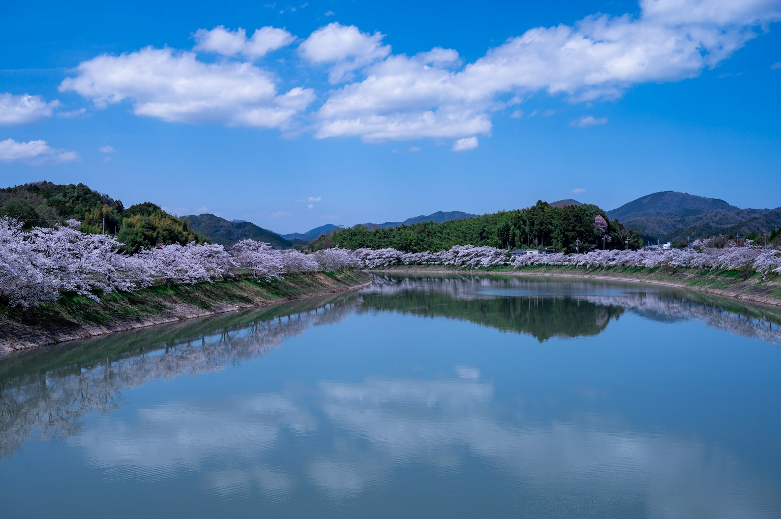 Ruhige Landschaft mit einer ruhigen Wasseroberfläche, die den blauen Himmel und die Wolken widerspiegelt, umgeben von Kirschbäumen