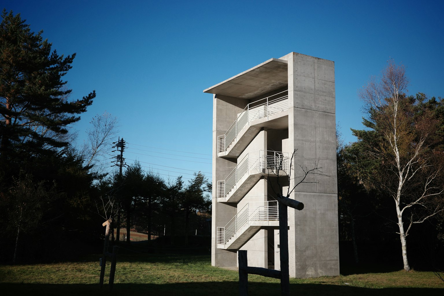 photo-qvb4LHwWBJNlYK4xA20b-image