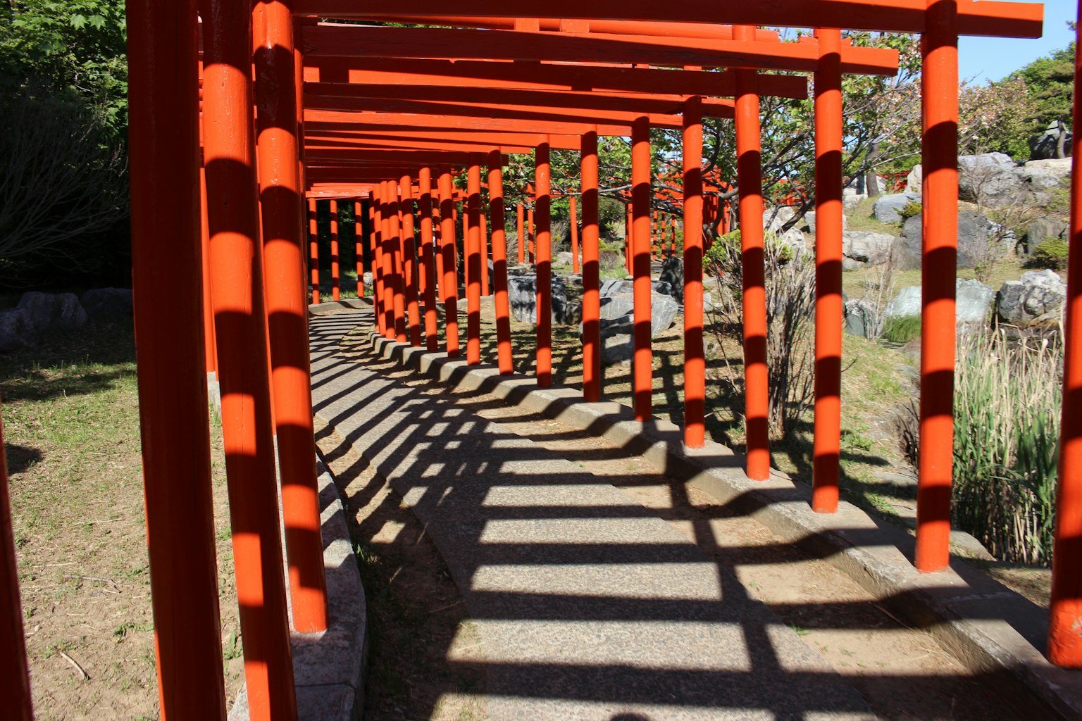 Un sentiero fiancheggiato da torii rossi che proiettano ombre intricate