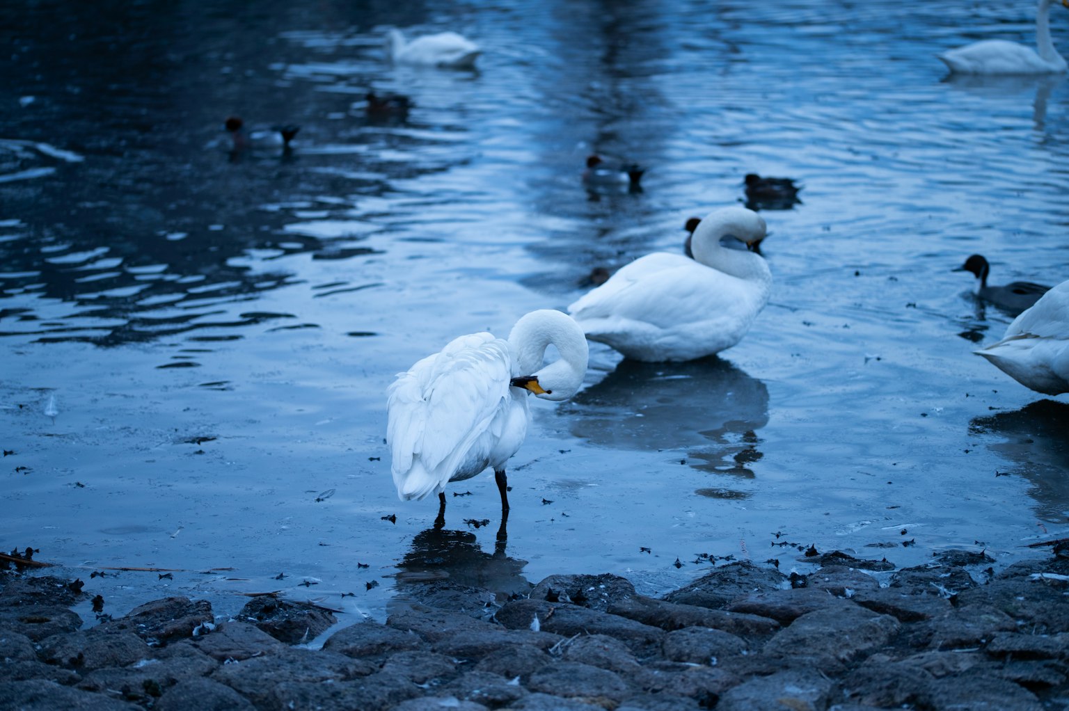 photo-qxJeFnDYcCE8VnQmDHQk-image