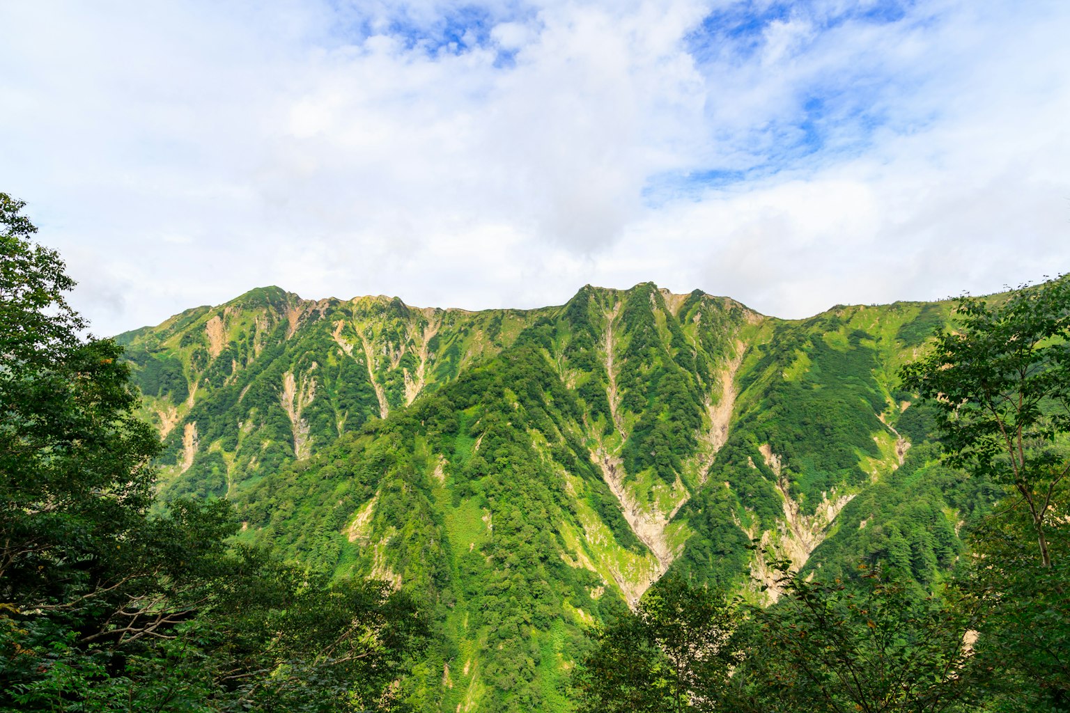 Montañas verdes bajo un cielo azul