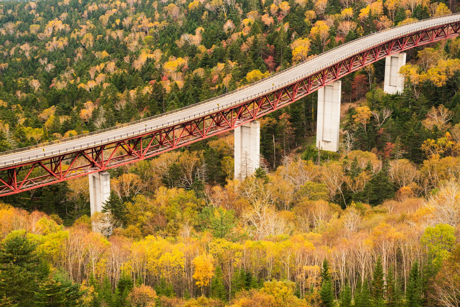 สะพานสีแดงข้ามป่าในฤดูใบไม้ร่วงที่มีใบไม้หลากสี