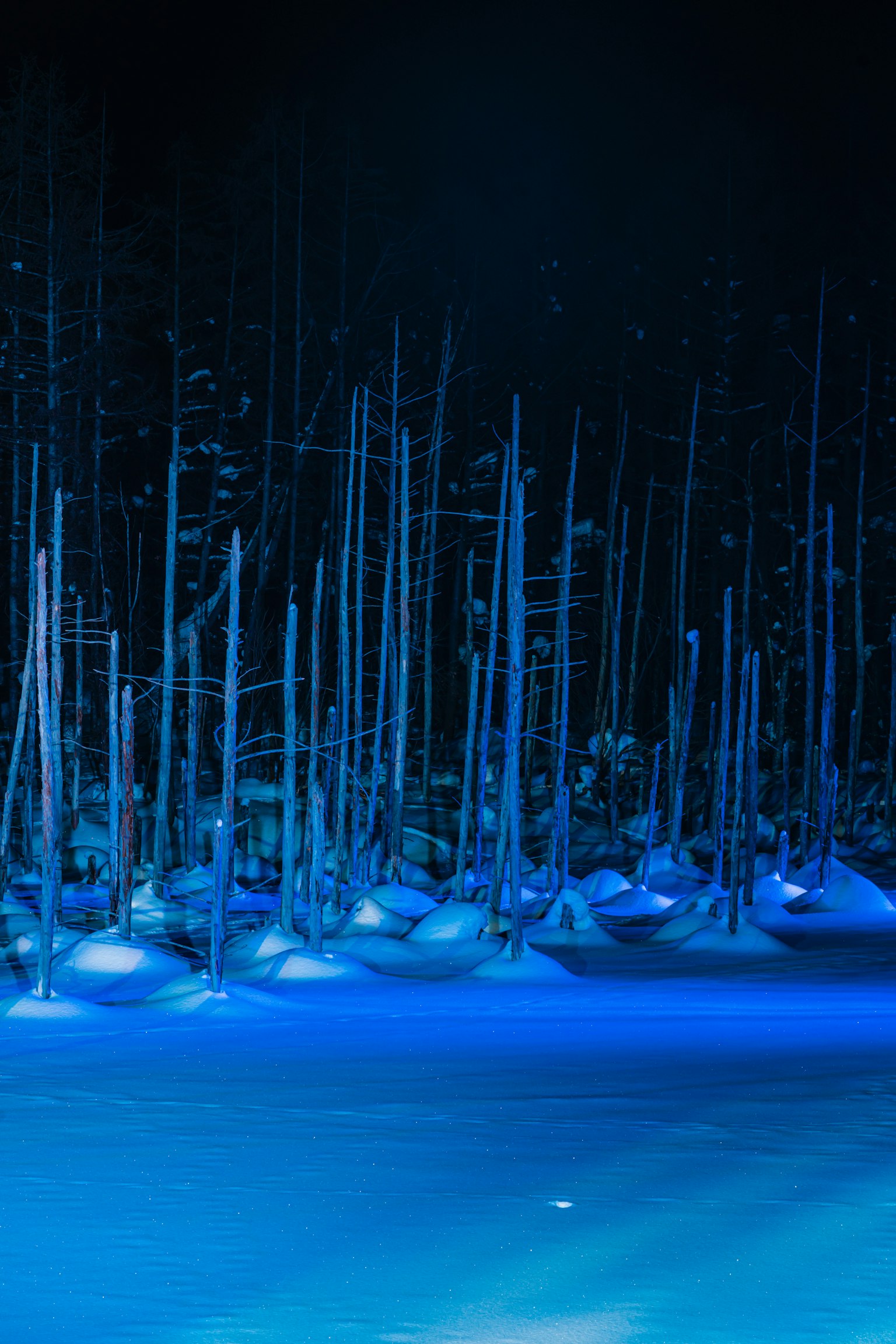Paesaggio di sottili pilastri di ghiaccio che si ergono nel ghiaccio blu