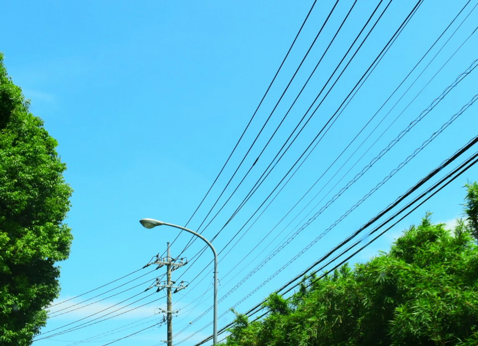 Landschaft mit blauem Himmel und sich kreuzenden Stromleitungen üppigen grünen Bäumen und Straßenlaterne