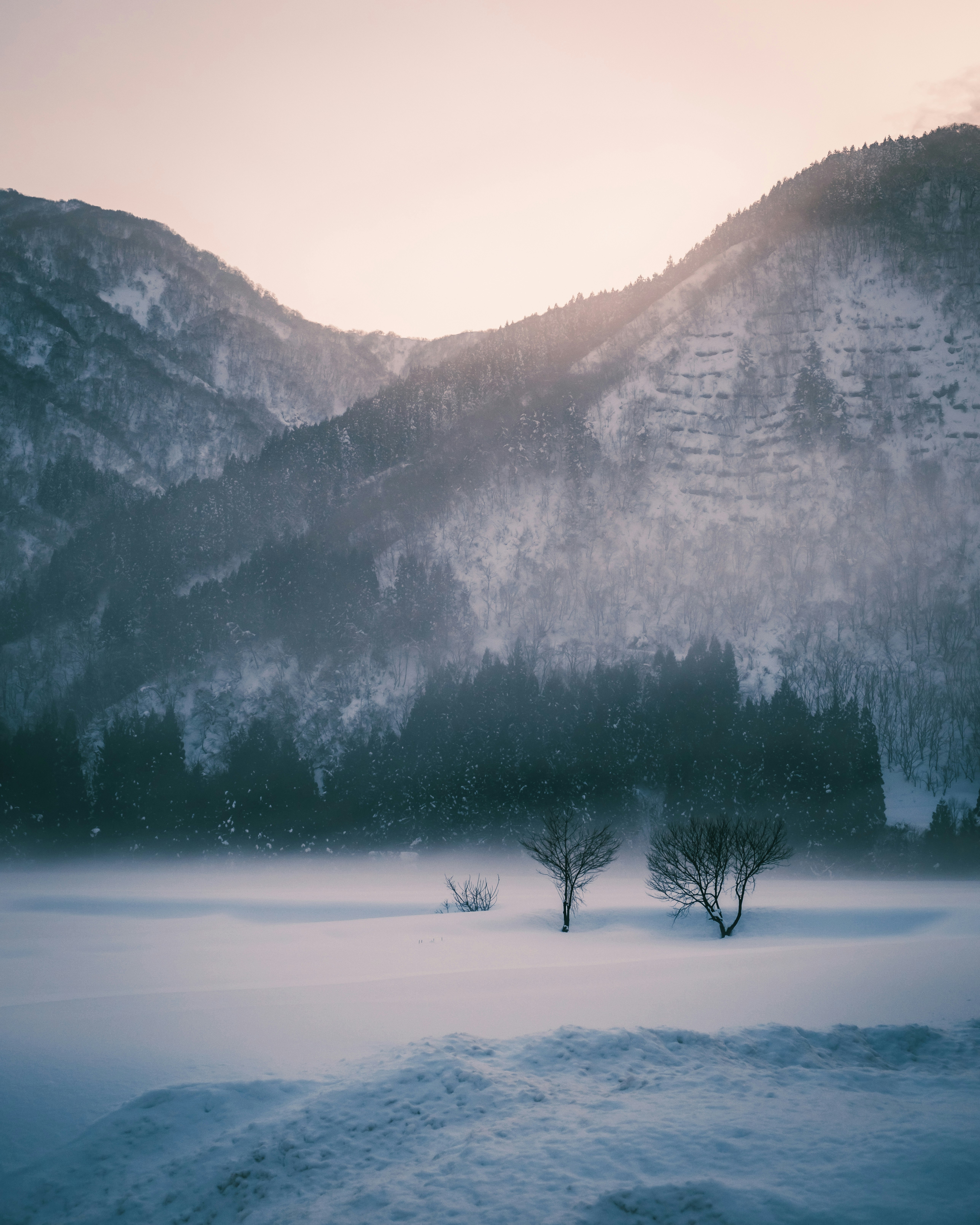 paysage de vallée de montagne enneigée enveloppé de brume