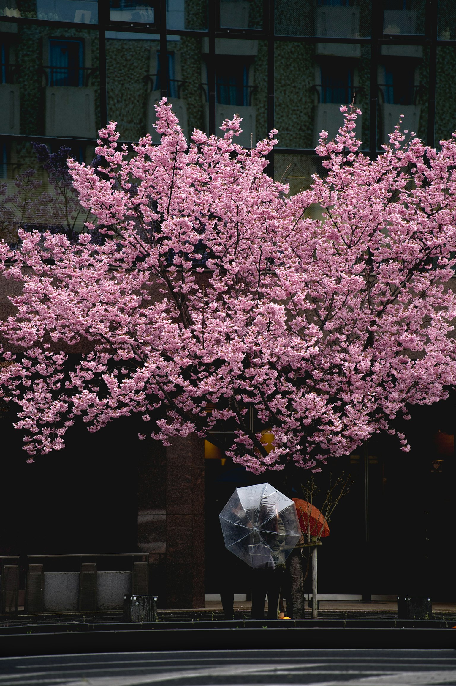 photo-qyitKAujR2d5J1EvK2Ei-image