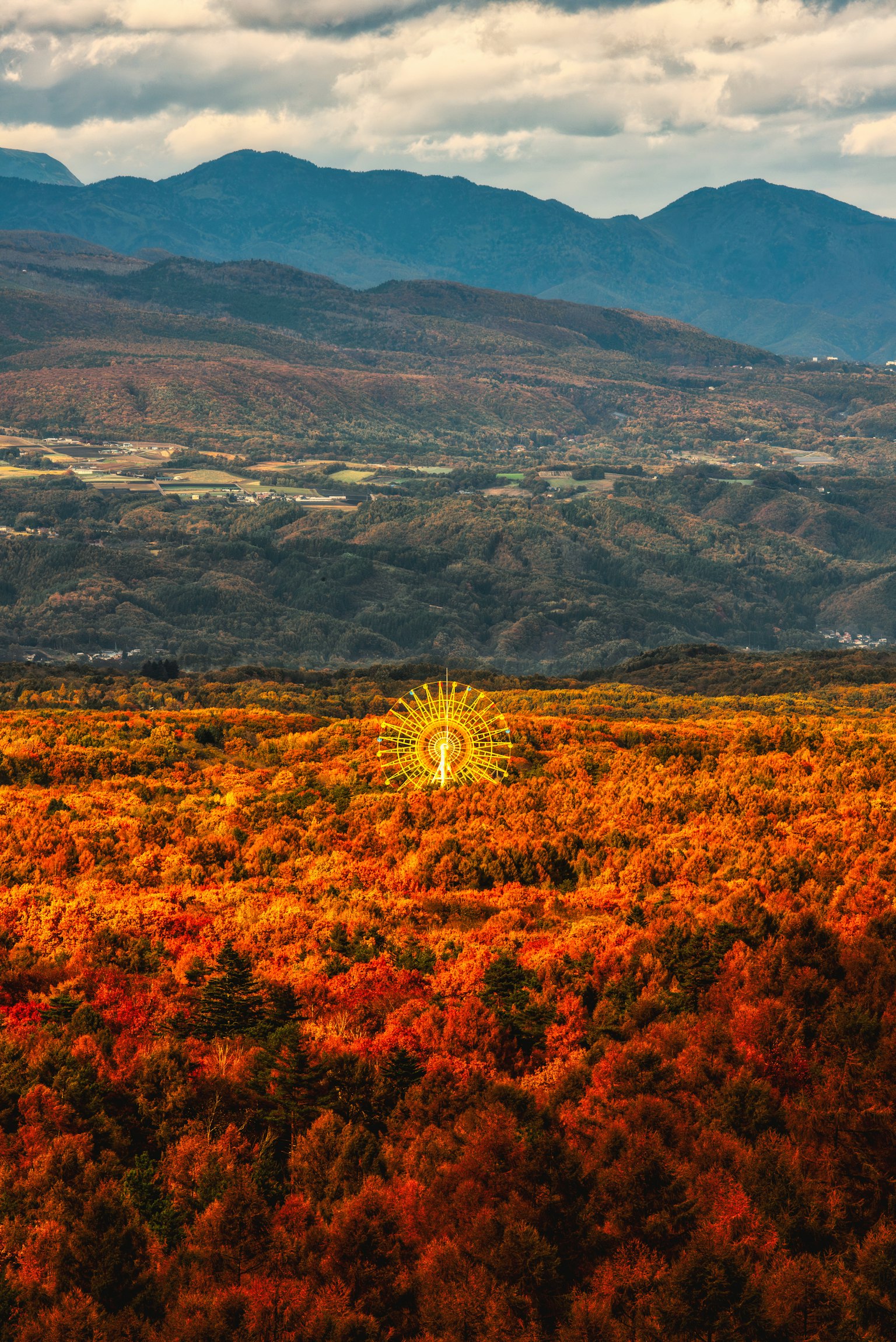 photo-qzAJTiSzPKR8FIrXa554-image