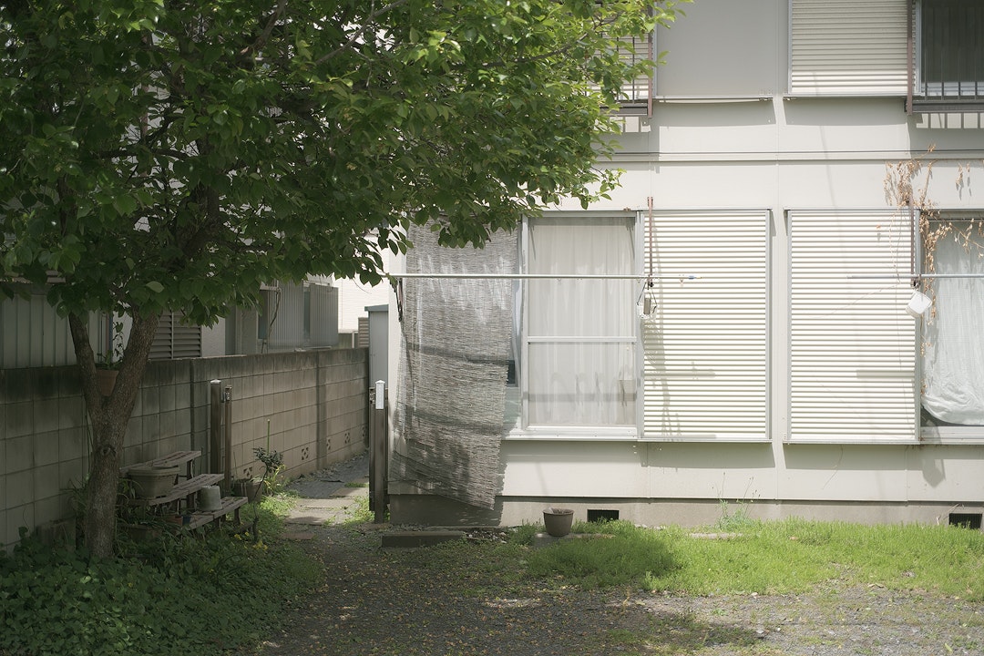 優しい陽射しのある庭先の壁と植栽