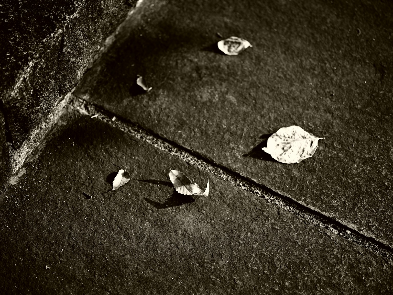 photo-qzJ8tFTcHNREf1K0liUF-image