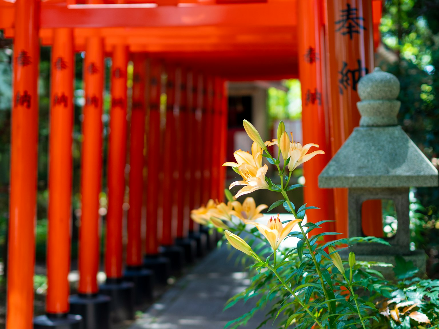 日本庭院場景，紅色鳥居和黃色花朵