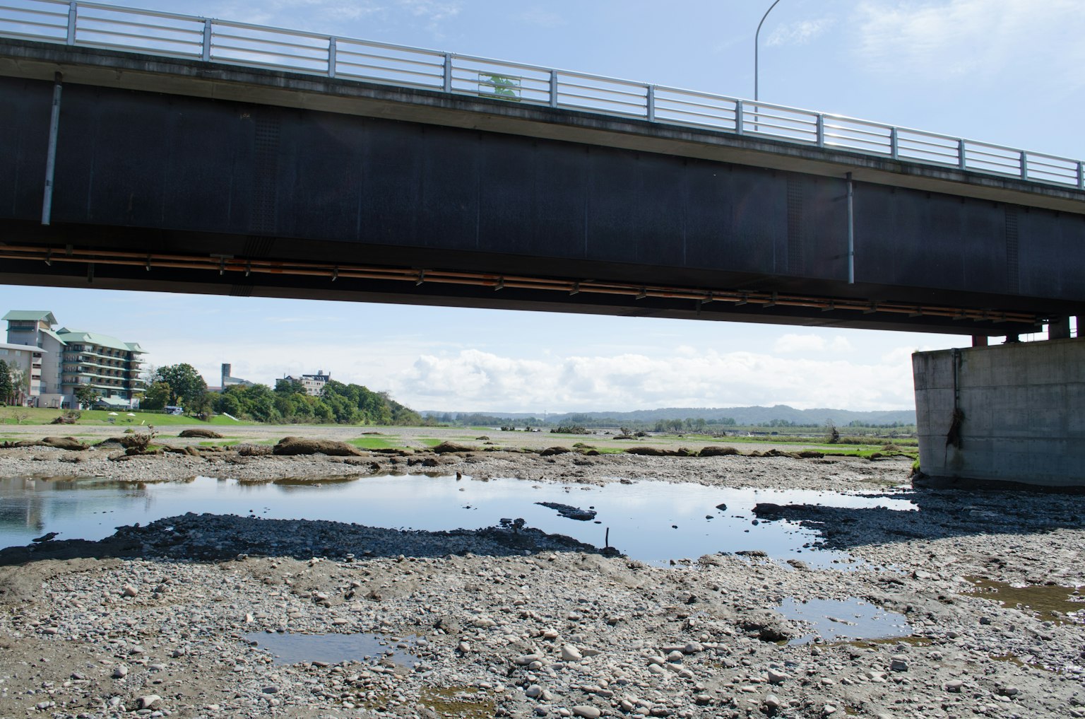 Charca y orilla rocosa debajo de un puente