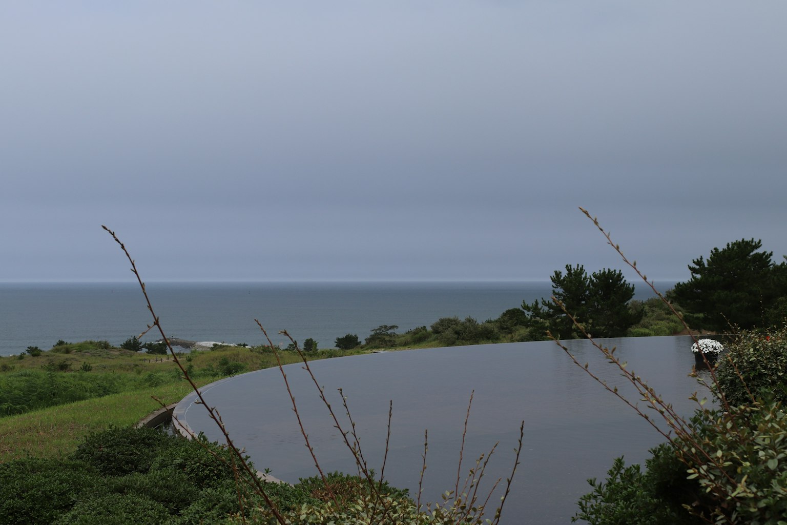 Paysage verdoyant avec un étang tranquille et vue sur l'océan
