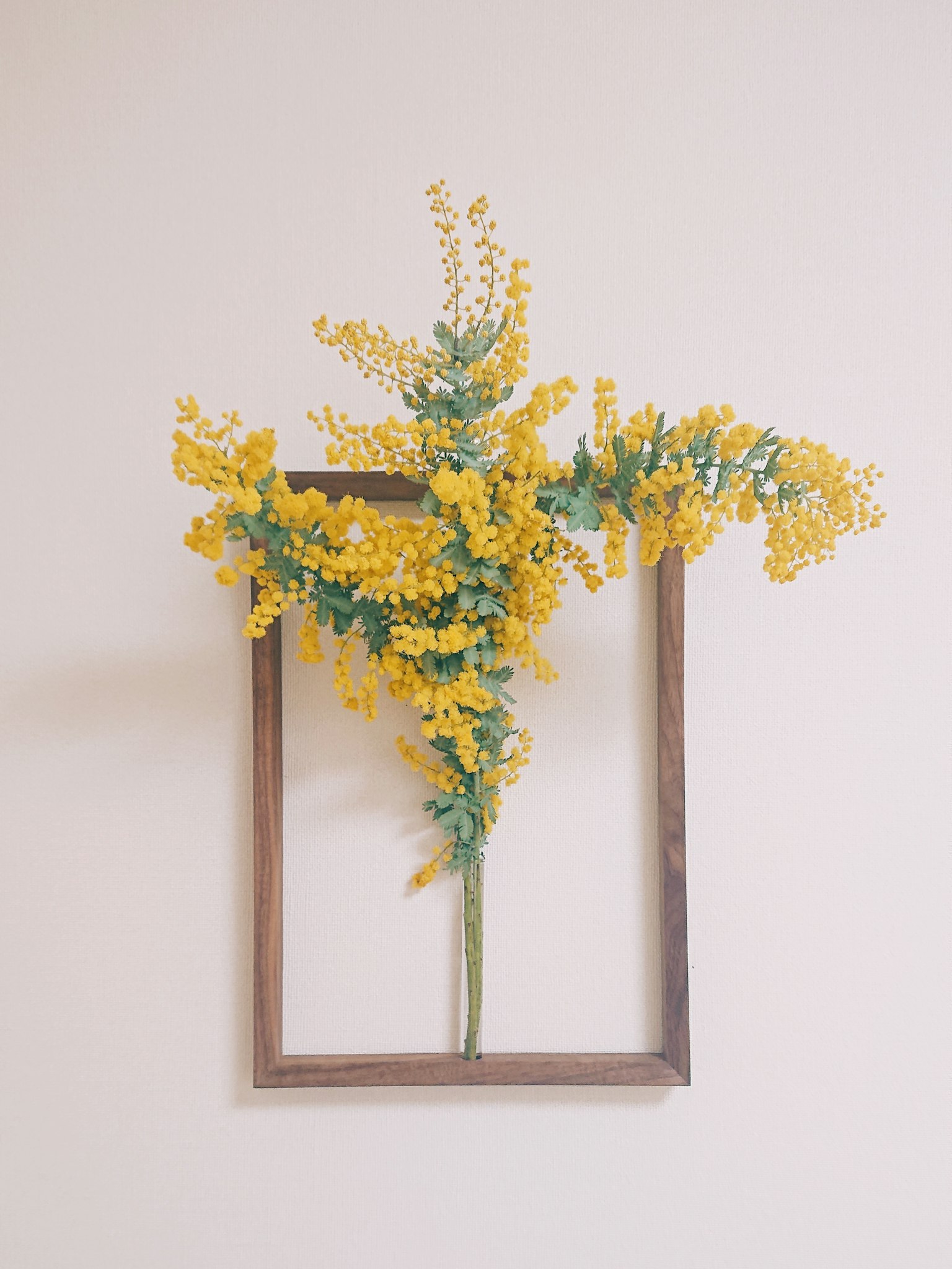 Un arrangement décoratif de fleurs jaunes encadré dans un cadre en bois