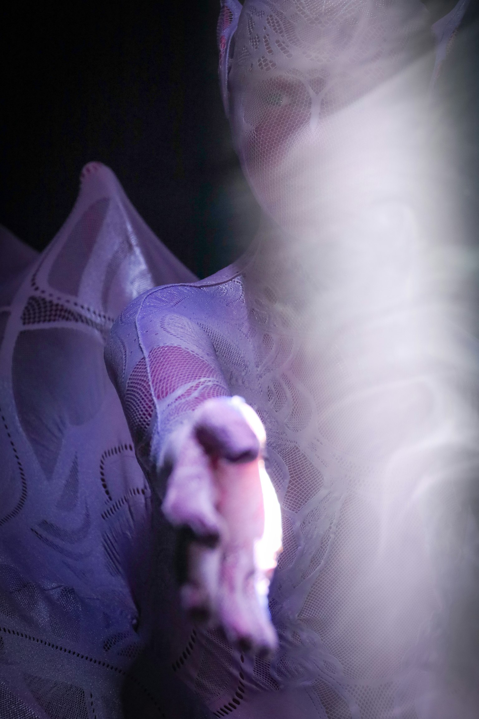 photo-r02SLzh1TUKKYSY4li4h-image