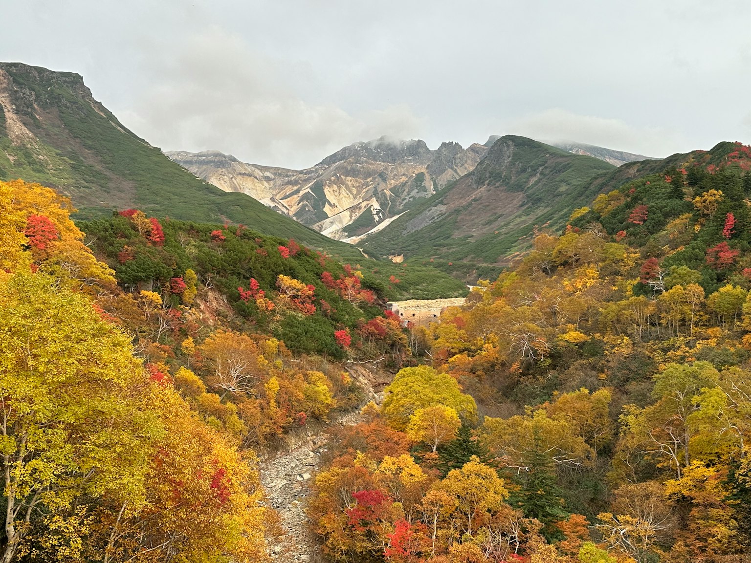 Beautiful autumn landscape with green and red trees and mountains