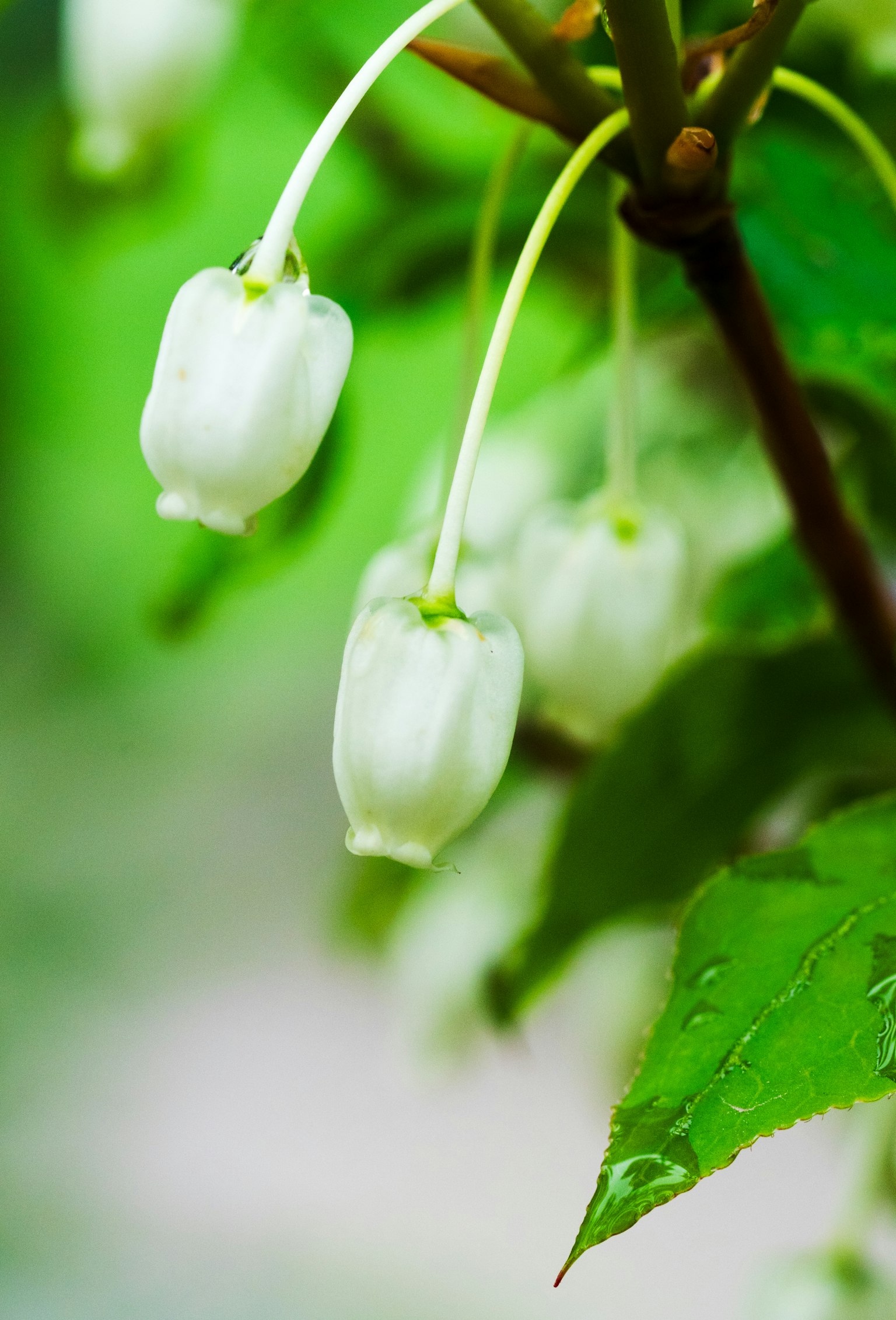 photo-r1bHCPnVKP6ijV9i1D3j-image