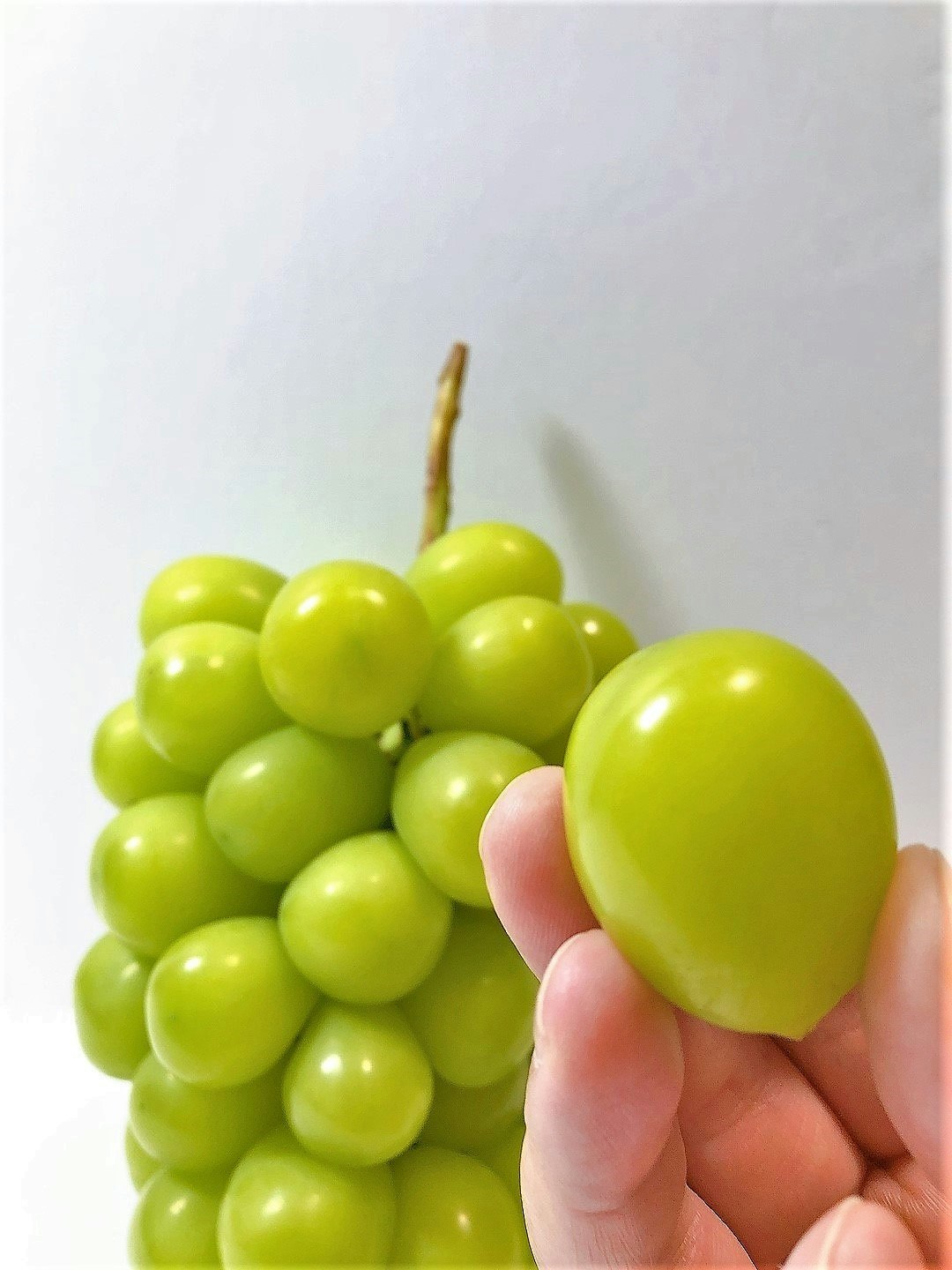 緑のぶどうの房とハート形のキャンディを手で持つ