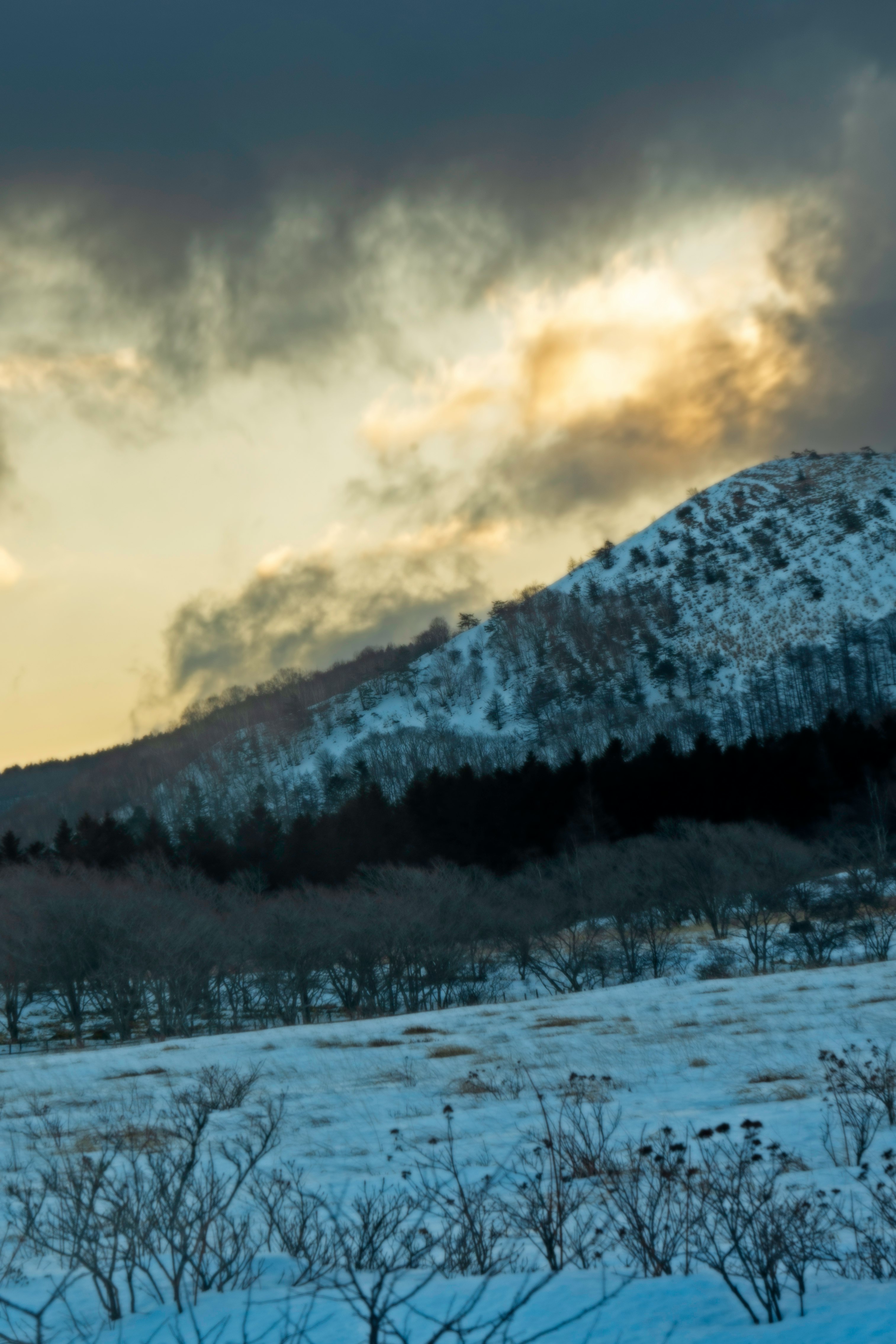 雪原と霧のかかった山の稜線に夕暮れの光が差す風景