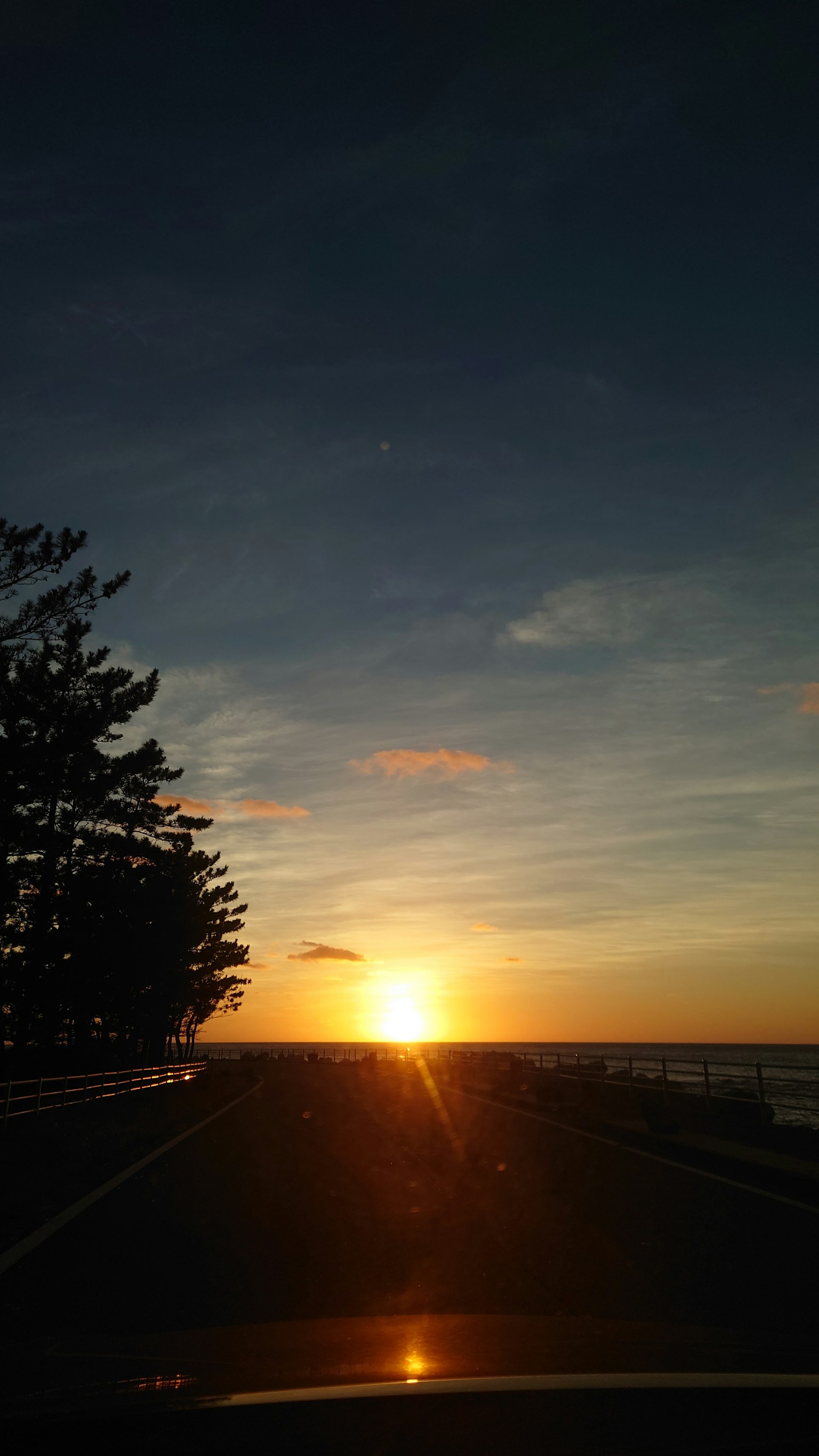 Atardecer sobre el océano con árboles en silueta