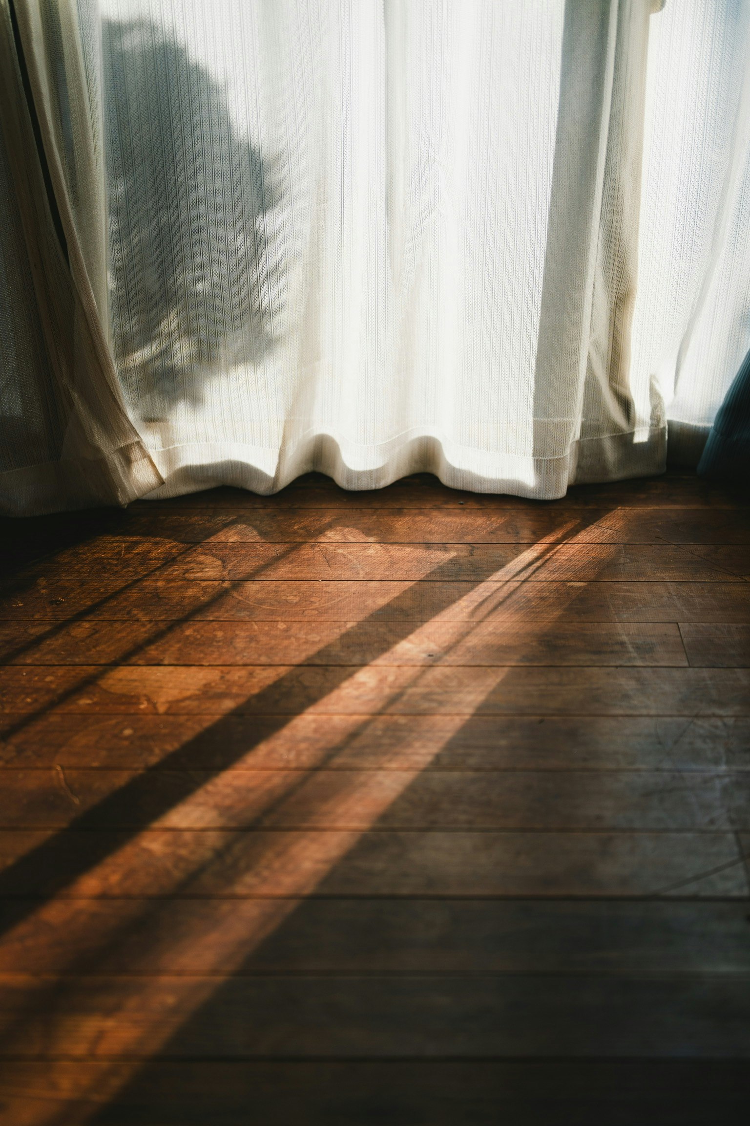 Warm indoor corner with light casting shadows on the floor through sheer curtains