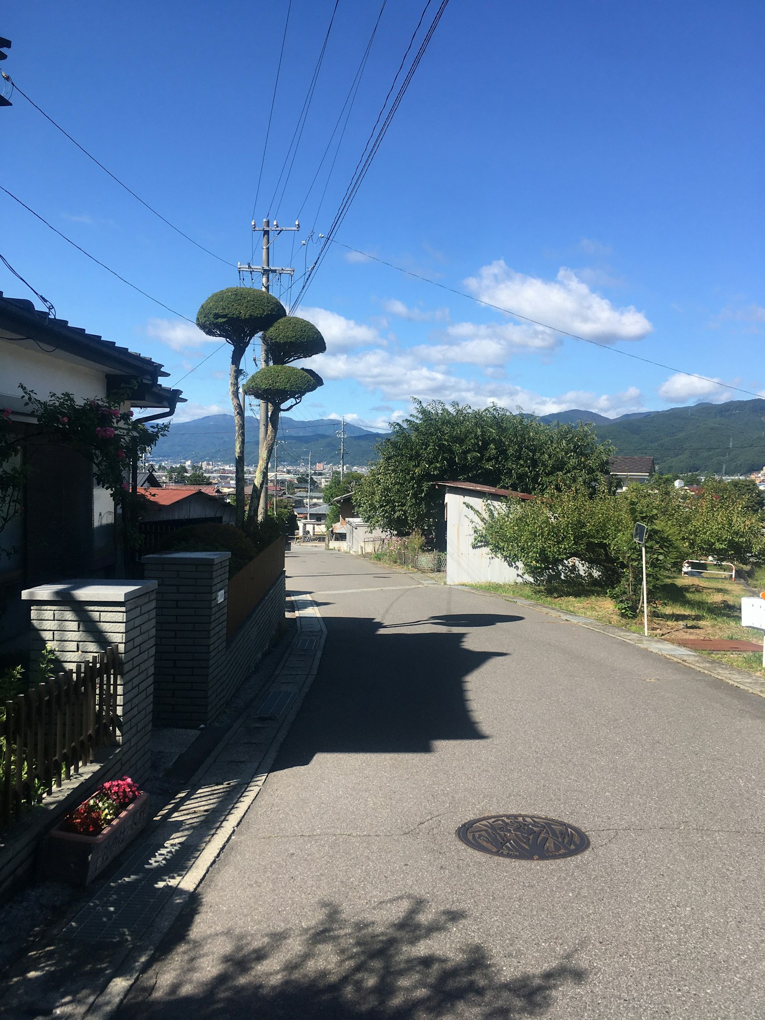 Ruhige Wohnstraße unter blauem Himmel mit beschnittenen Bäumen und Bergen