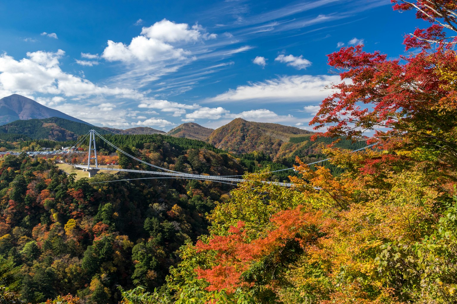 ทิวทัศน์ฤดูใบไม้ร่วงที่สวยงามพร้อมสะพานแขวนล้อมรอบด้วยใบไม้สีสันสดใส