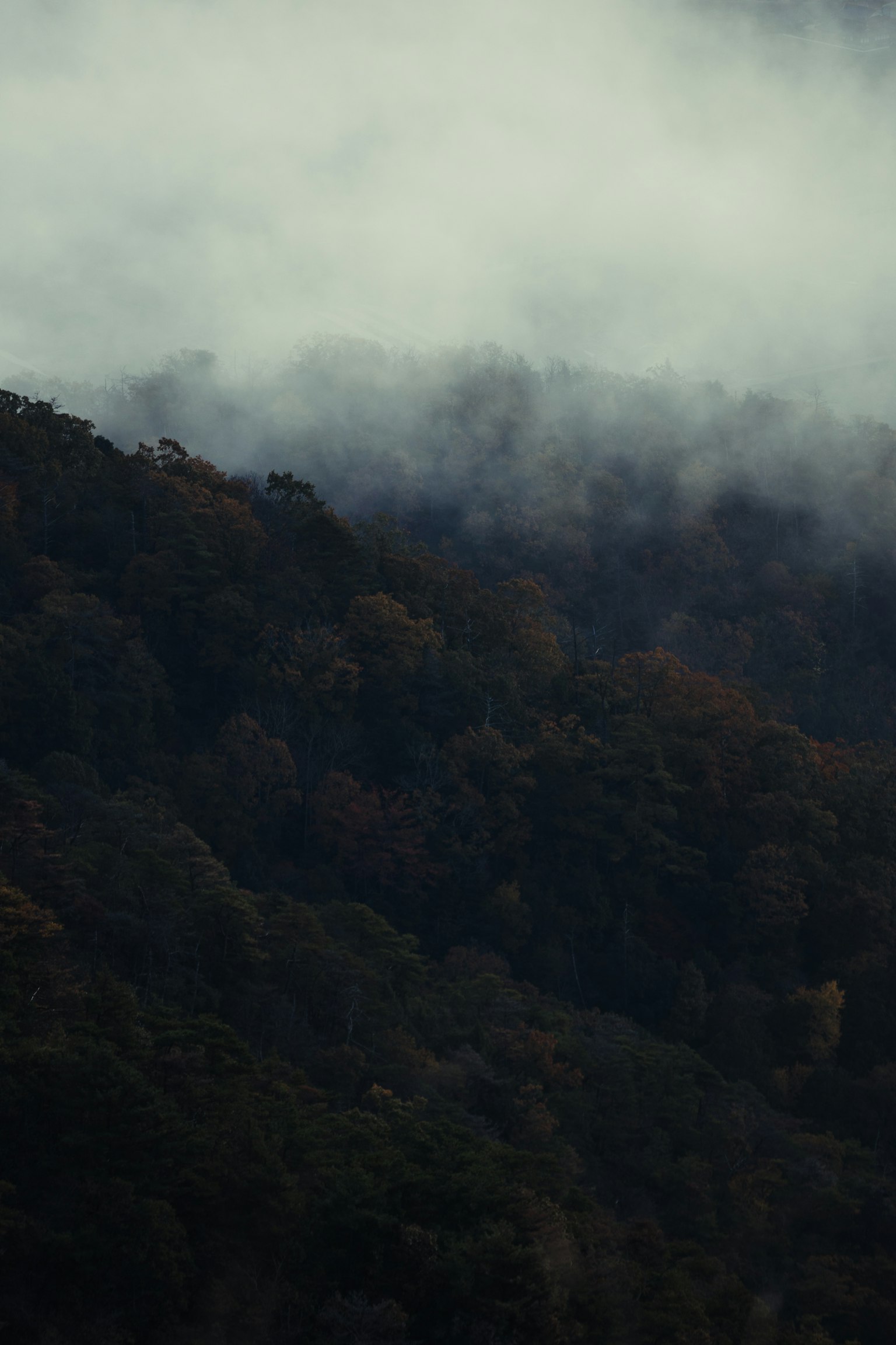 Misty mountain landscape with autumn foliage