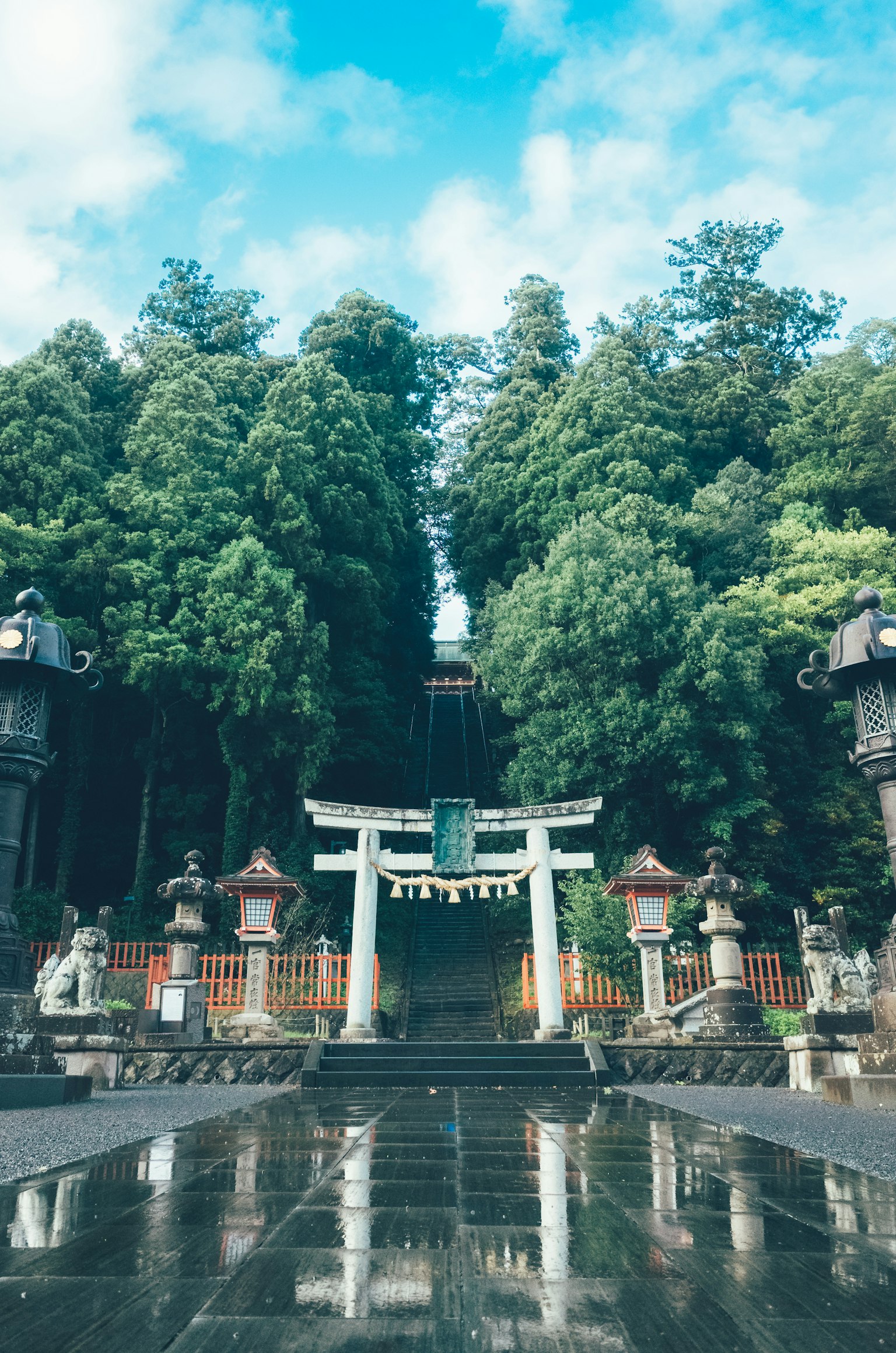 A serene view featuring a torii gate surrounded by lush greenery