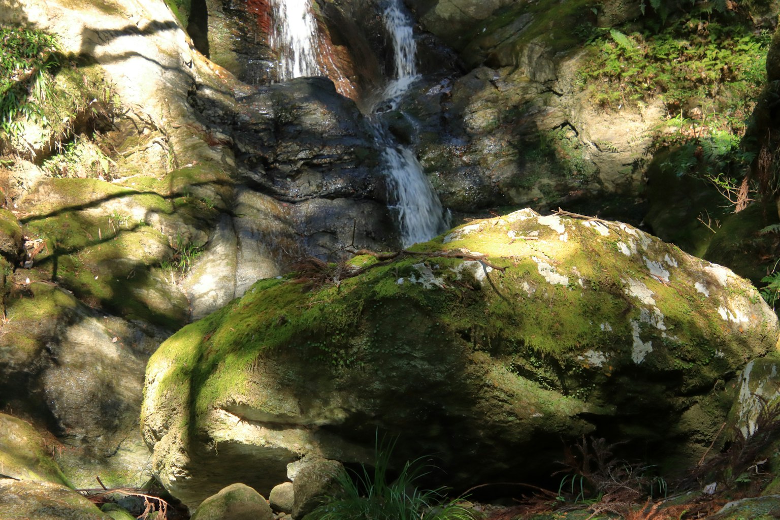 Pemandangan alam dengan batu yang ditutupi lumut dan air terjun kecil