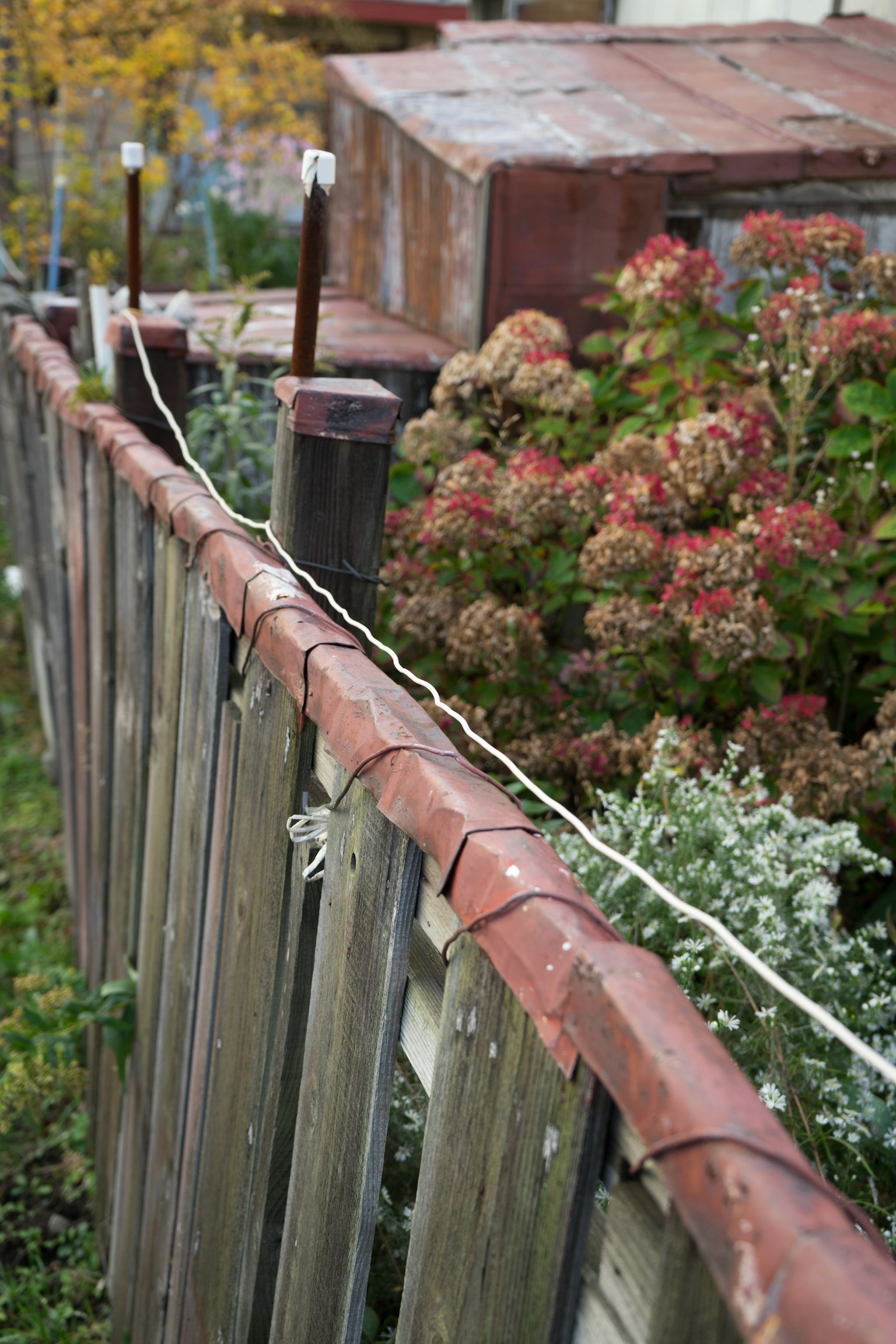 Holzzaun mit bunten Pflanzen in einem Garten