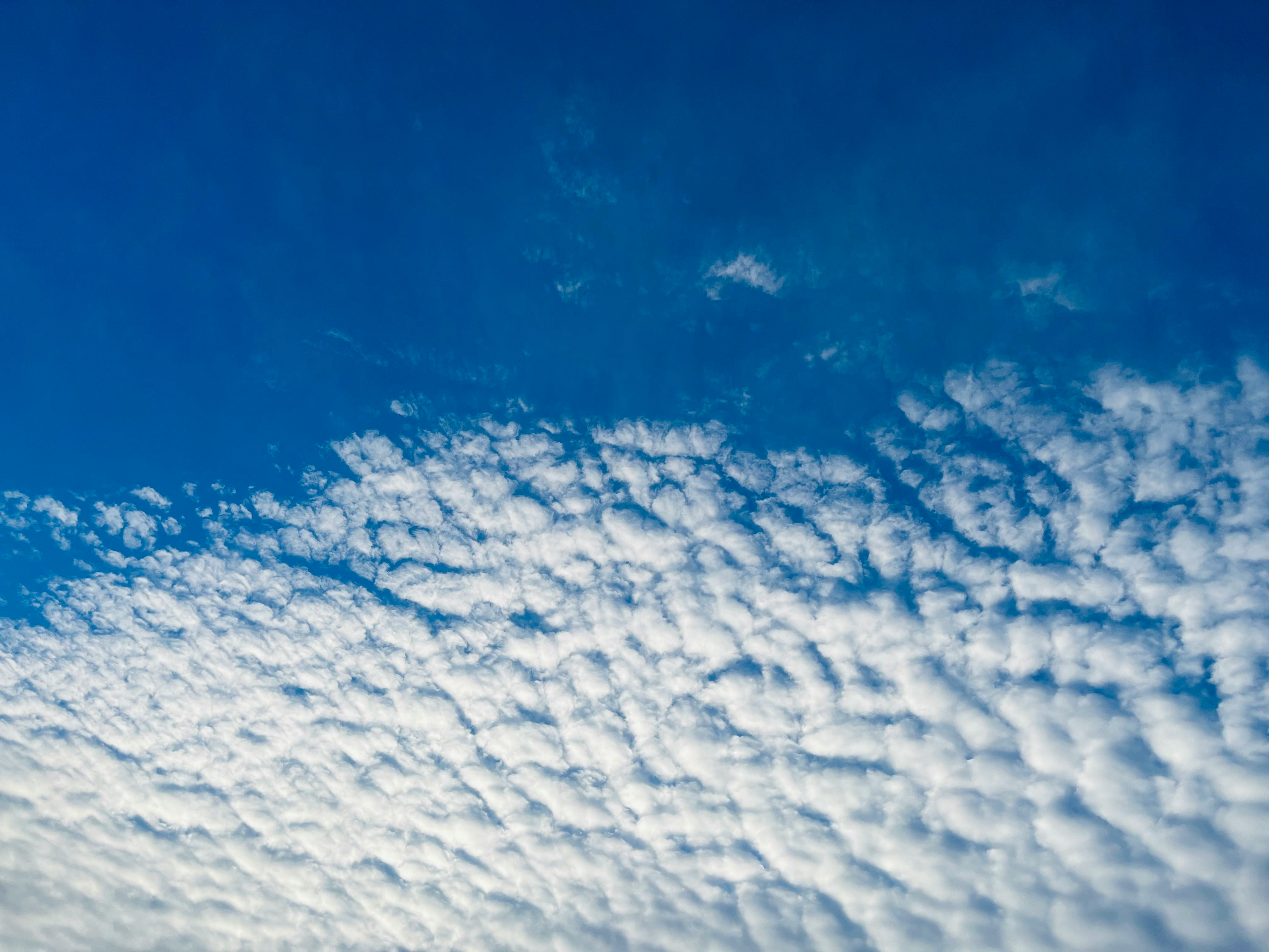ondulations de nuages sur un ciel bleu