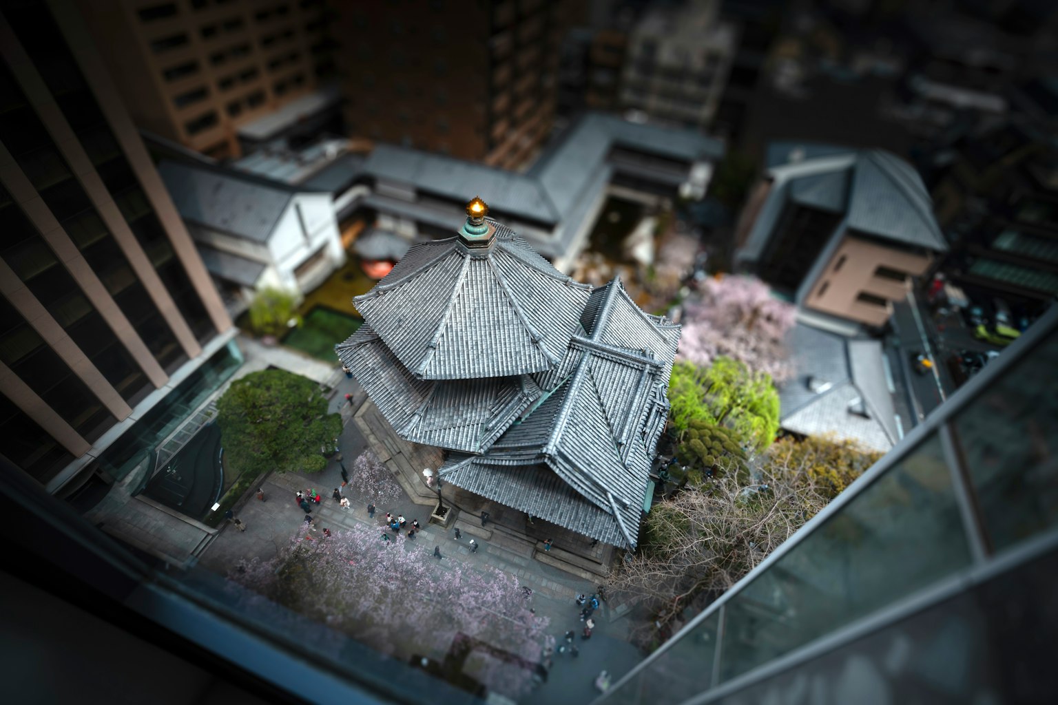 从上方俯视的传统日本建筑及周围花园