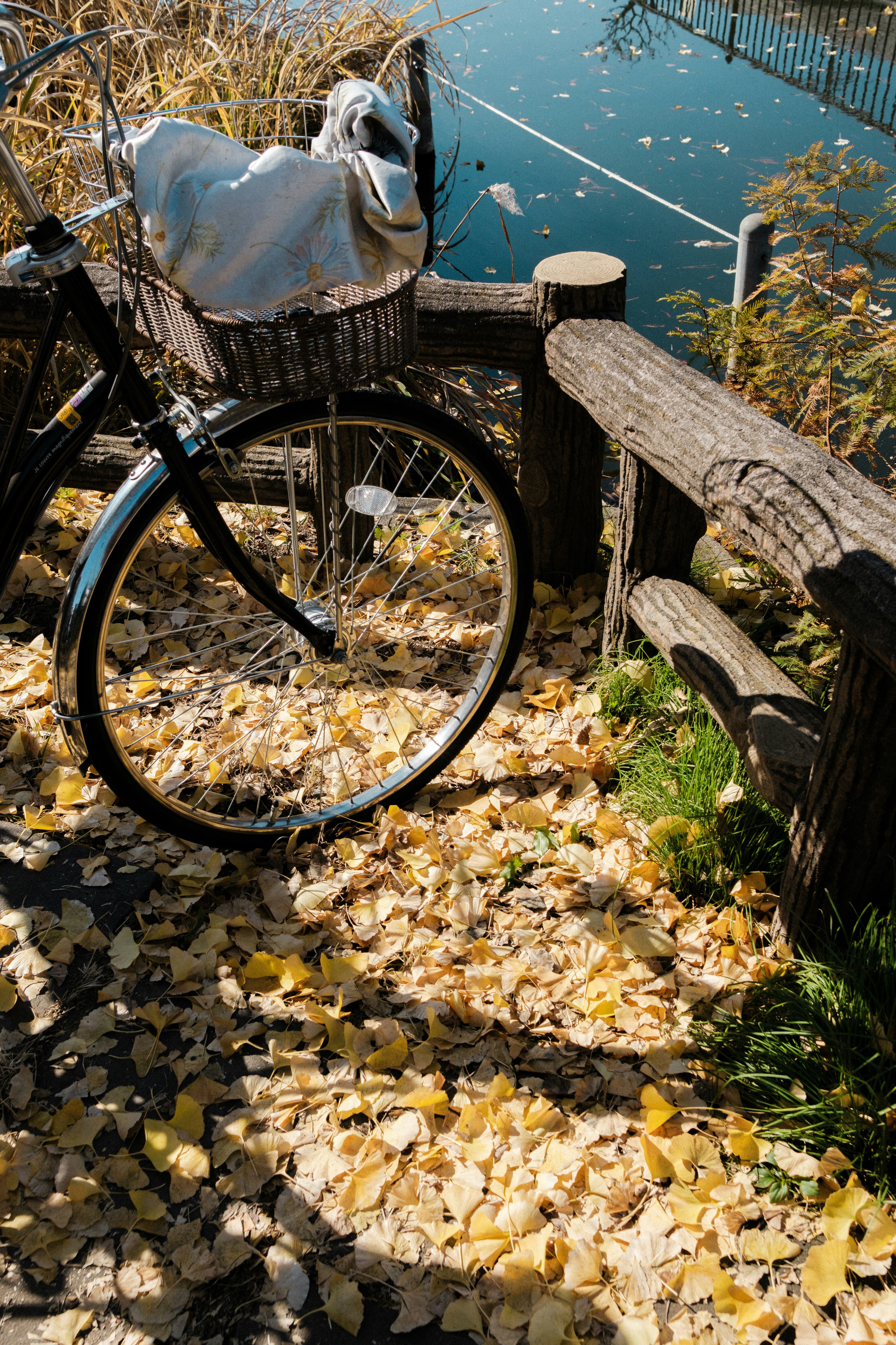 bicycle parked on an autumn path covered with fallen leaves