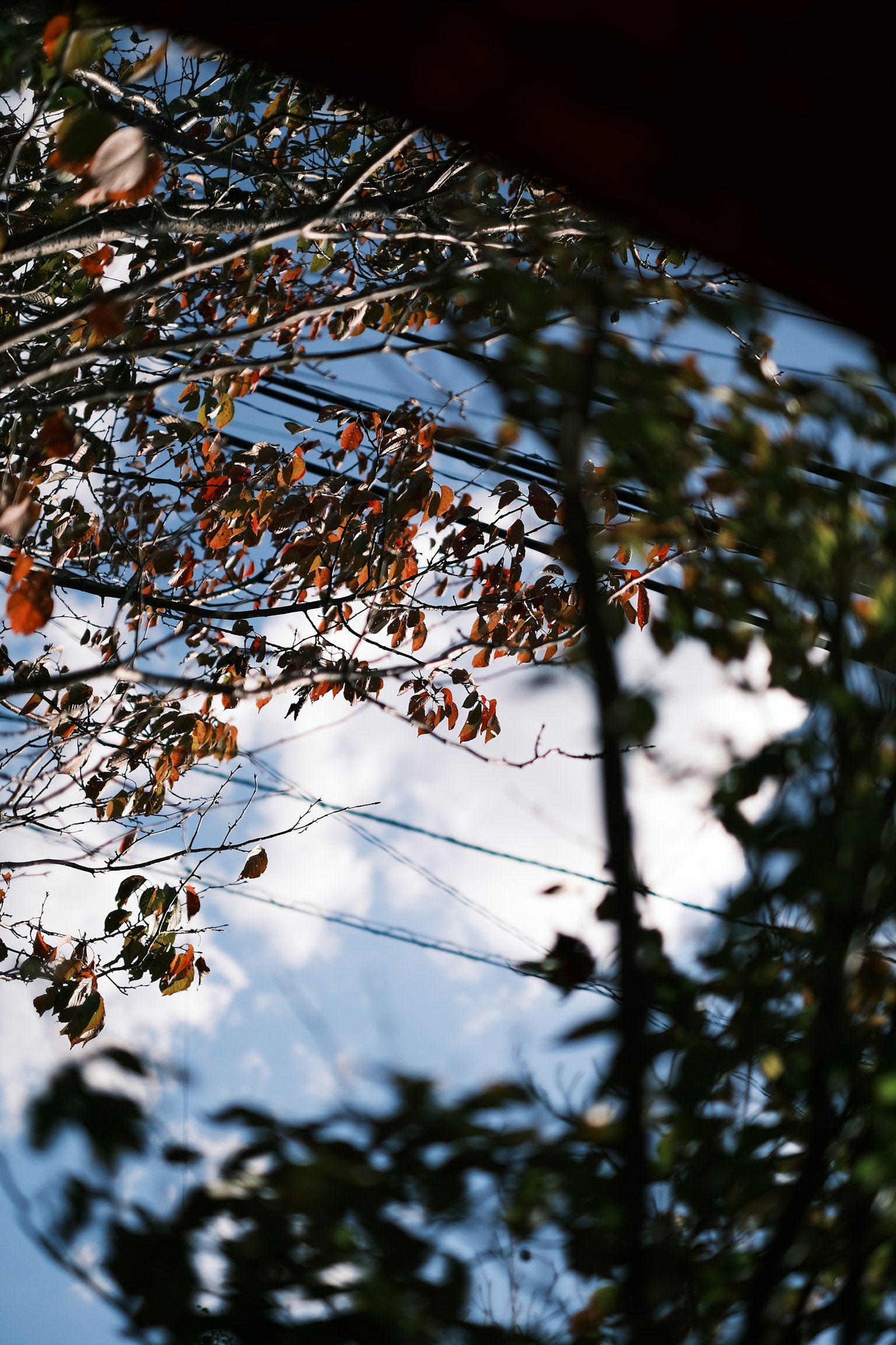 photo-r5nWtYsUBMwLrBWJp1H4-image