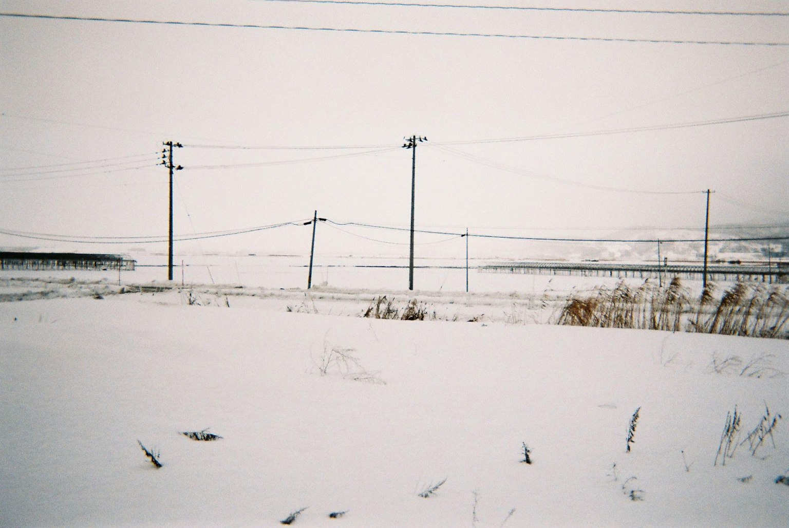 Schneebedeckte Landschaft mit Strommasten und Drähten