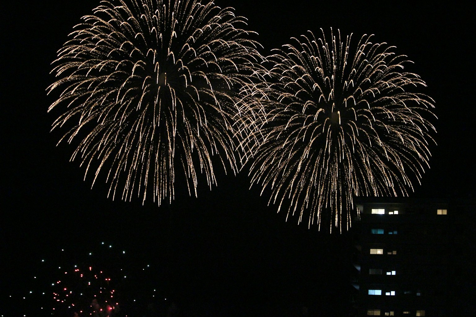 Large fireworks bursting in the night sky with smaller fireworks in the background
