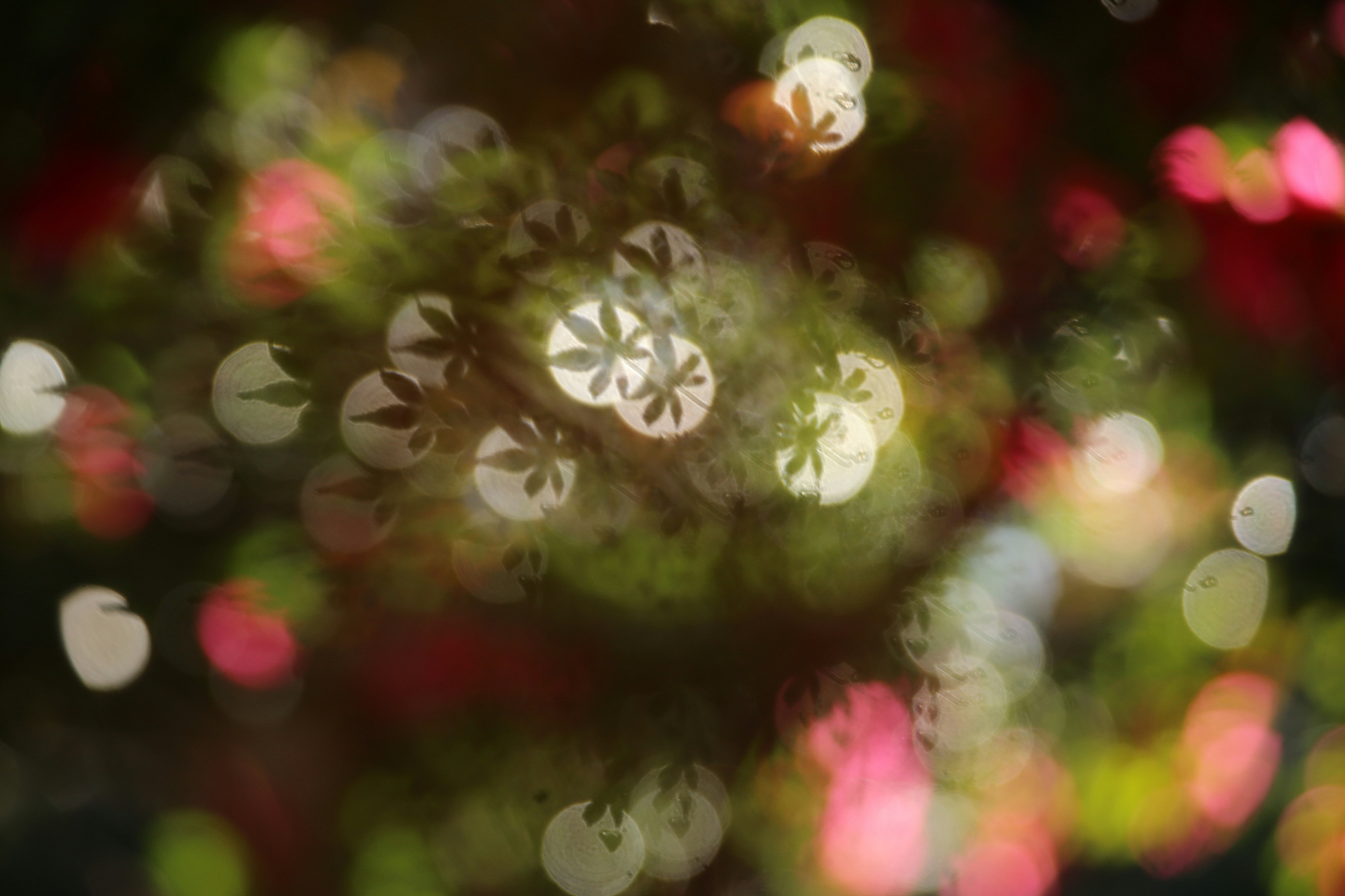 花や葉のボケと光の粒が重なる幻想的な背景