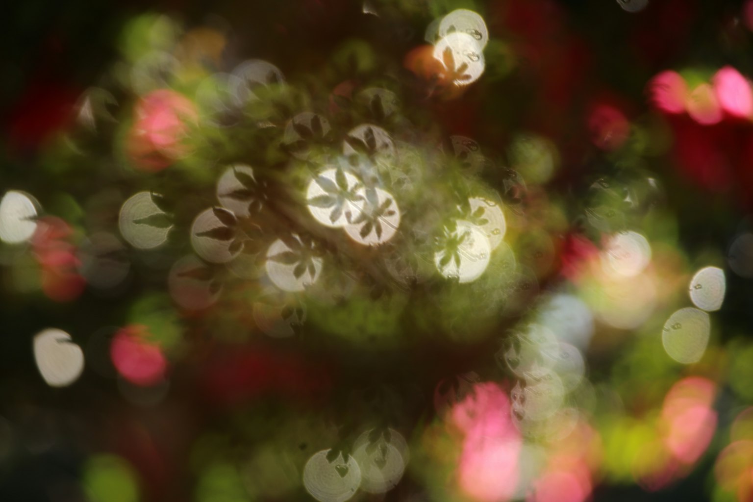 Uno sfondo sfocato di luci colorate con motivi floreali